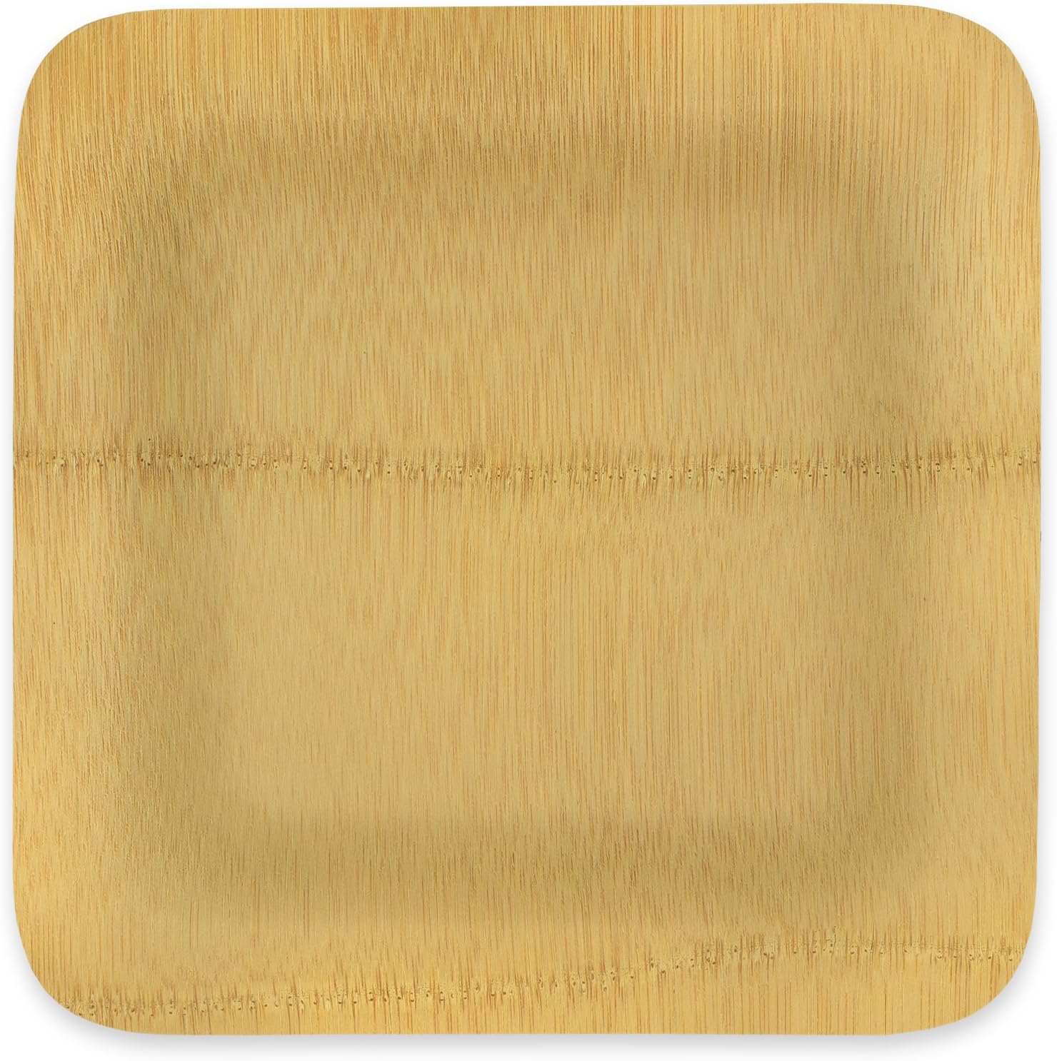 DISPOSABLE BAMBOO PLATES, Sturdy 10" Square, 6 Pack, Eco-friendly Compostable Tree-Free, Natural Alternative to Plastic & Paper, All Occasion: Weddings, Parties & Picnics by Arborware