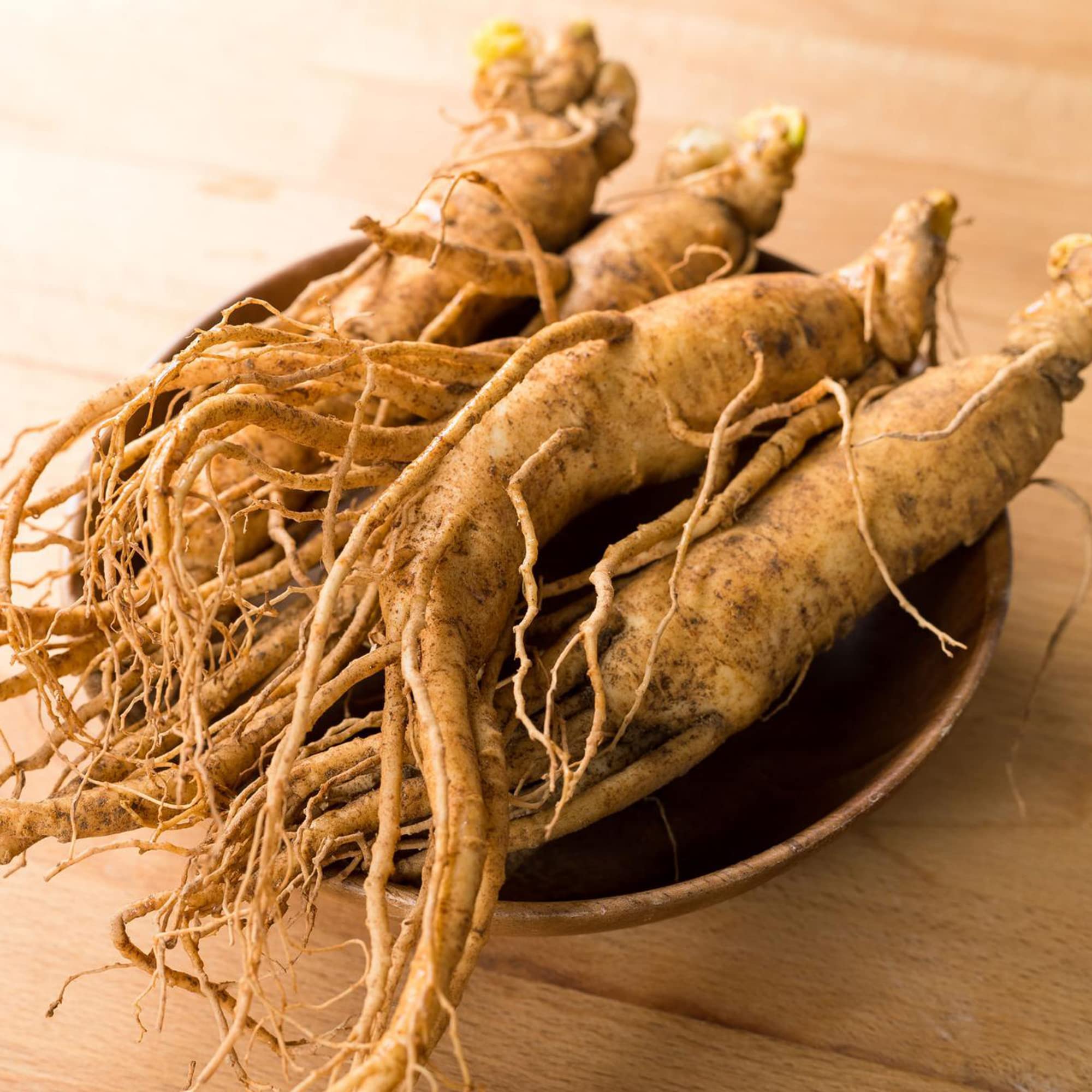 Korean Ginseng Seeds Panax Ginseng Perennial Good for Health Garden Outdoor Bed 25Pcs Herb Seeds by YEGAOL Garden