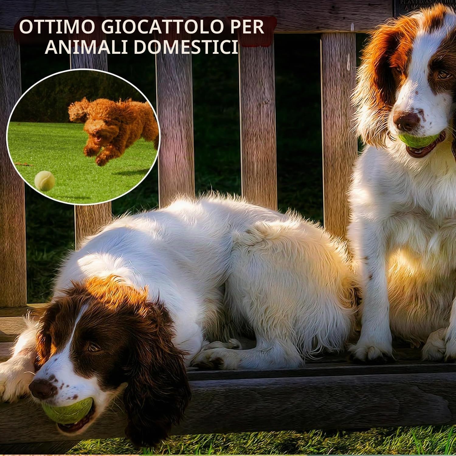 SHYUJAJIE Palline da tennis, confezione da 20 palline da tennis per allenamento, ad alta elasticità, per principianti, esercizio fisico per cani