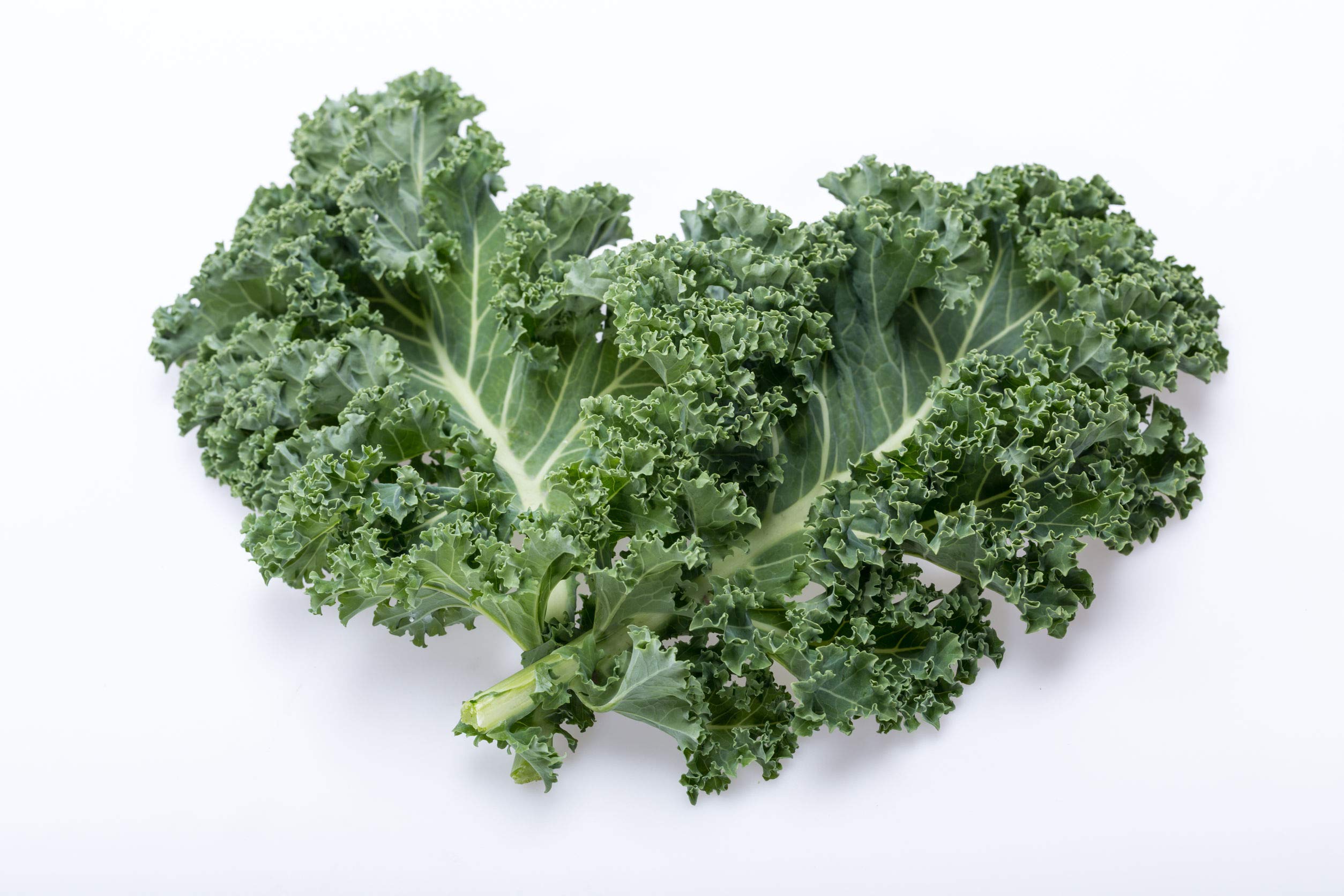 Kiepenkerl Grünkohl Samen Halbhoch Grün Kraus - MAXIPACK 25g