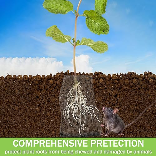 Miniatura 6 de 24 cestas de protección de raíces, cestas de alambre resistentes de acero inoxidable para plantas, 5 tamaños, cesta de alambre grande, jaula de