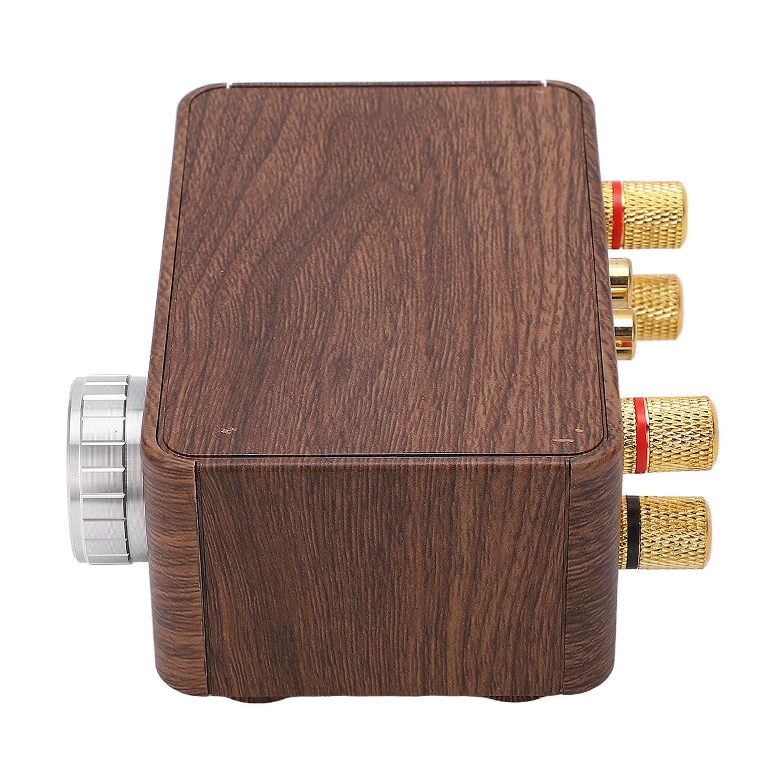 Generic Mini Amplificador de Potencia Bluetooth 5,0, Grano de Madera Resistente, Doble Canal de 50W X 2 para Componentes de Cine en Casa