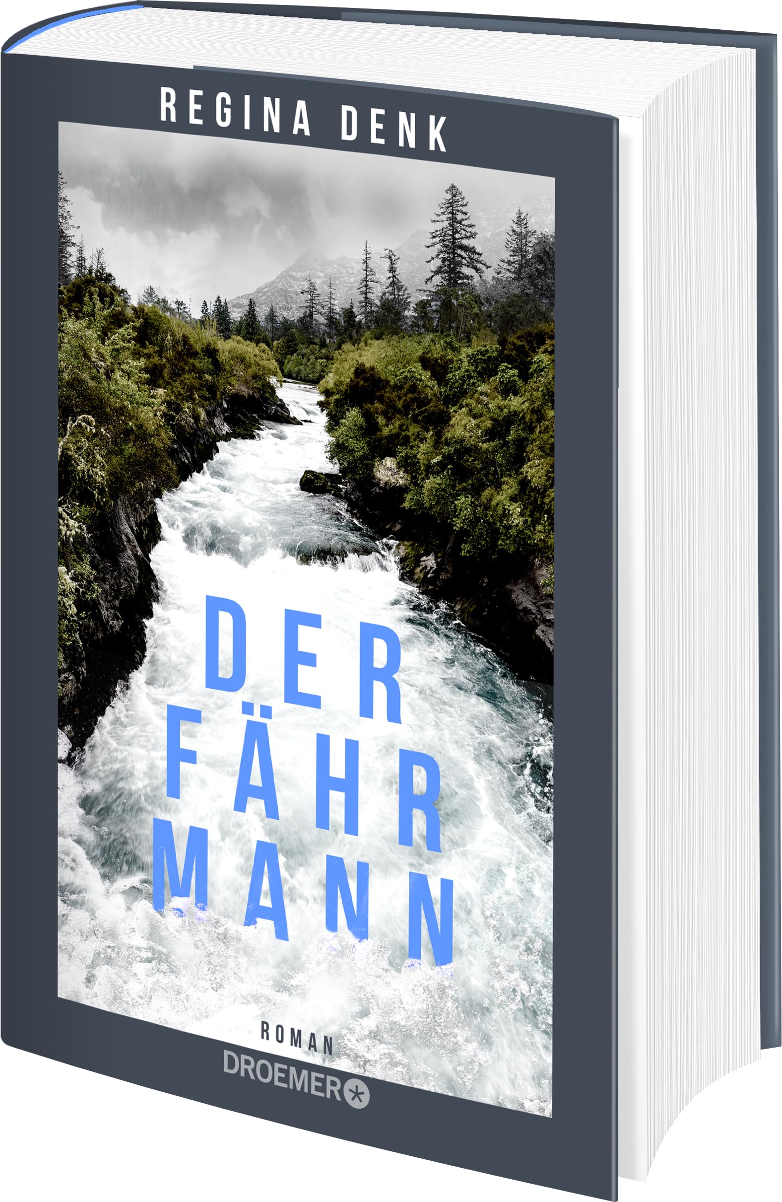 Der Fährmann: Roman | Freundschaft und Neid, Liebe und Schuld - und eine Gemeinschaft, die der Nationalismus entzweit