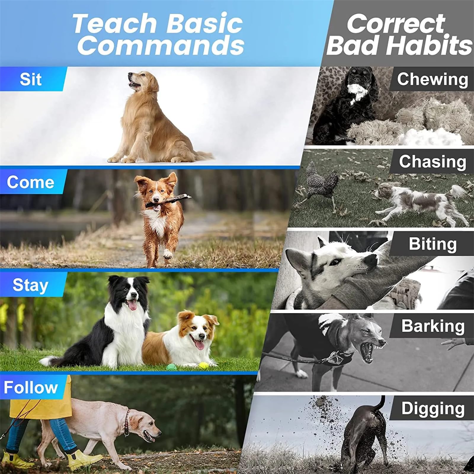Hunde-Halsband,Hundehalsbänder,Klassisches,Hundehalsband, Hundehalsband Hund Neuheit,längenverstellbar,Geeignet für alle Arten von Hunden (aa2)
