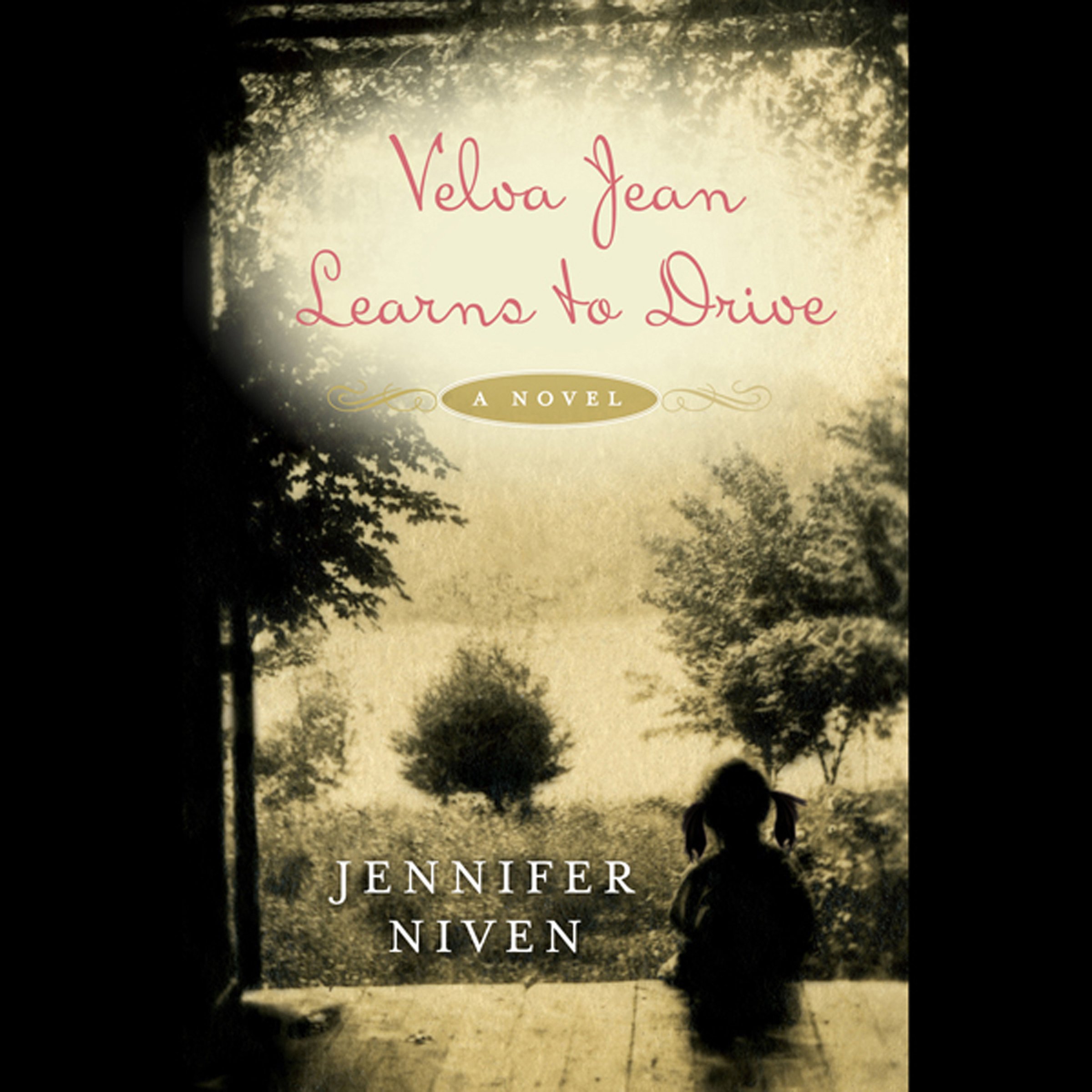 Cover art for Velva Jean Learns to Drive