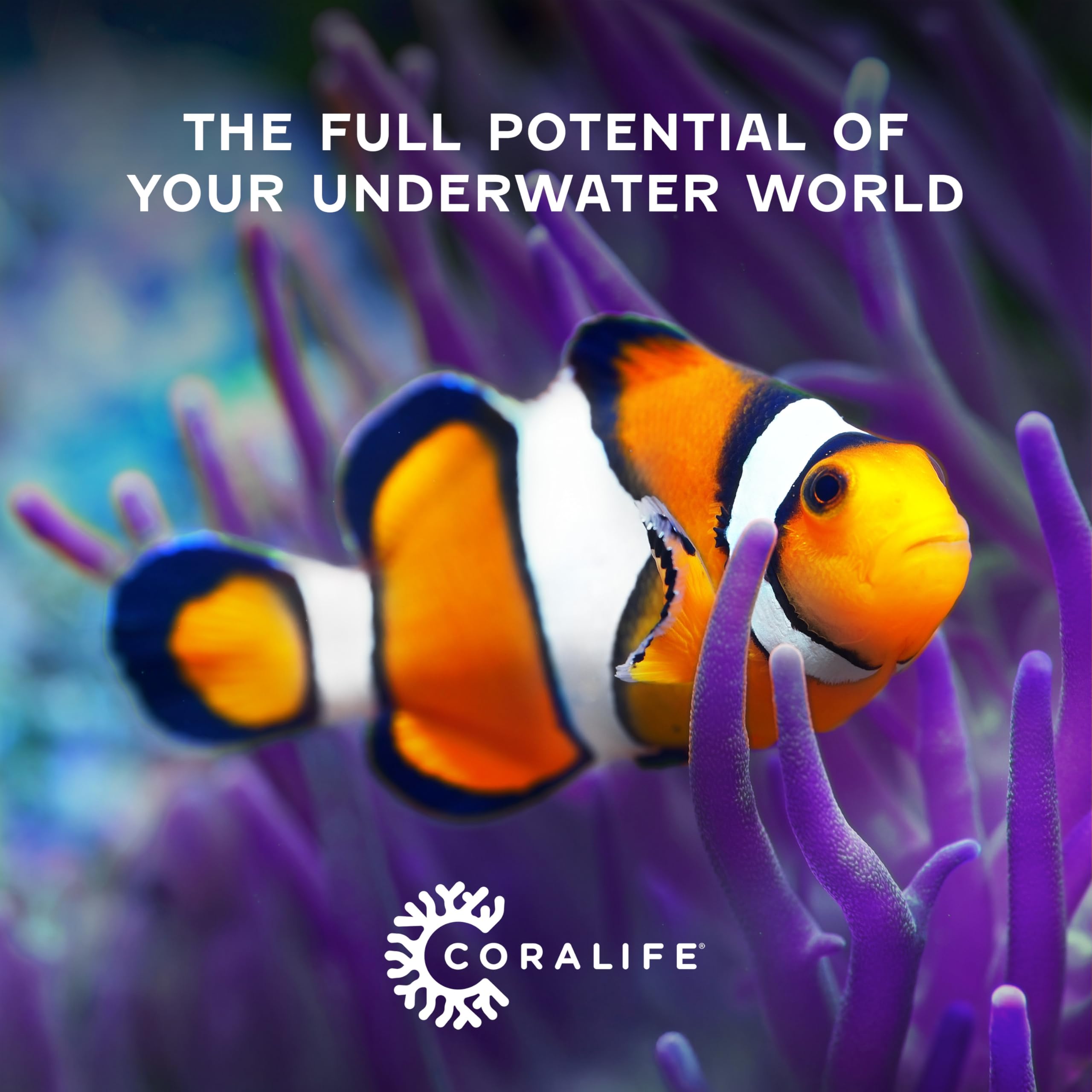 Coralife Energy Savers ACLAF877 Deep Six Hydrometer