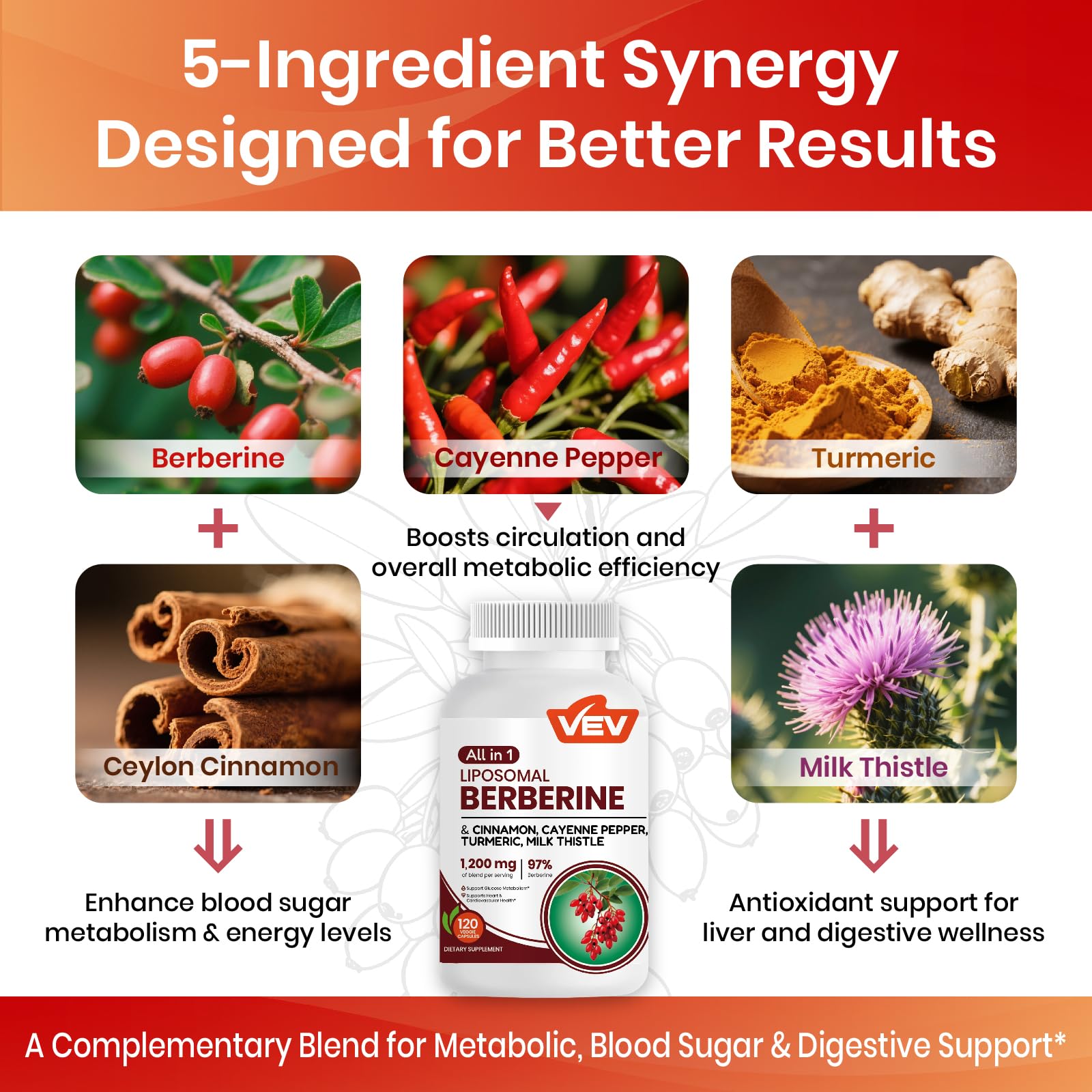 VEV Berberine Supplement with Ceylon Cinnamon, Cayenne Pepper, Turmeric, Milk Thistle, Vegan & Non-GMO – 120 Capsules