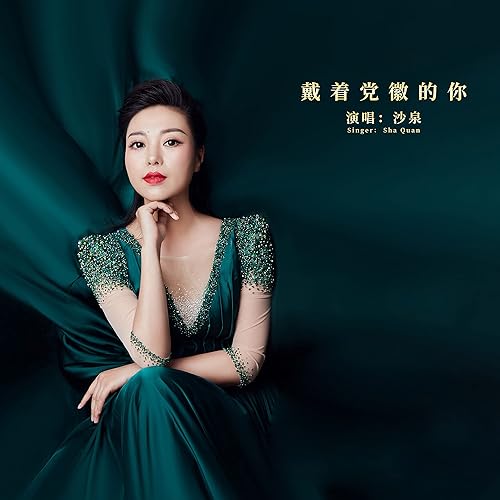 戴着党徽的你