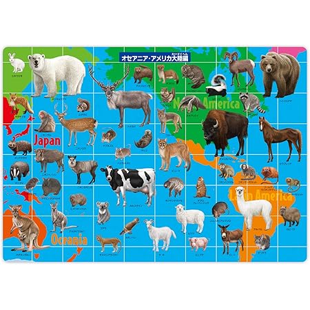Amazon ザ アクセス 動物下敷き オセアニア アメリカ編 下敷き 文房具 オフィス用品