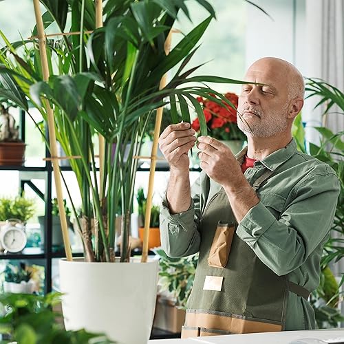 Miniatura 3 de SWANGSA Paquete de 6 enrejados de bambú de 24 pulgadas para plantas trepadoras, enrejado de bambú en forma de abanico, pepino, tomate, enrejado con