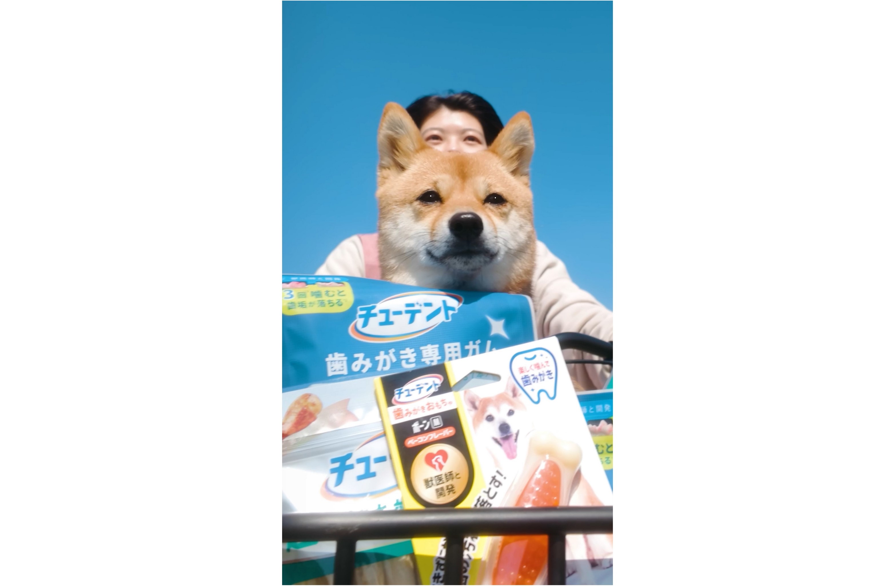 Amazon.co.jp: チューデント 超長持ち歯みがきガム S 超小型～小型犬