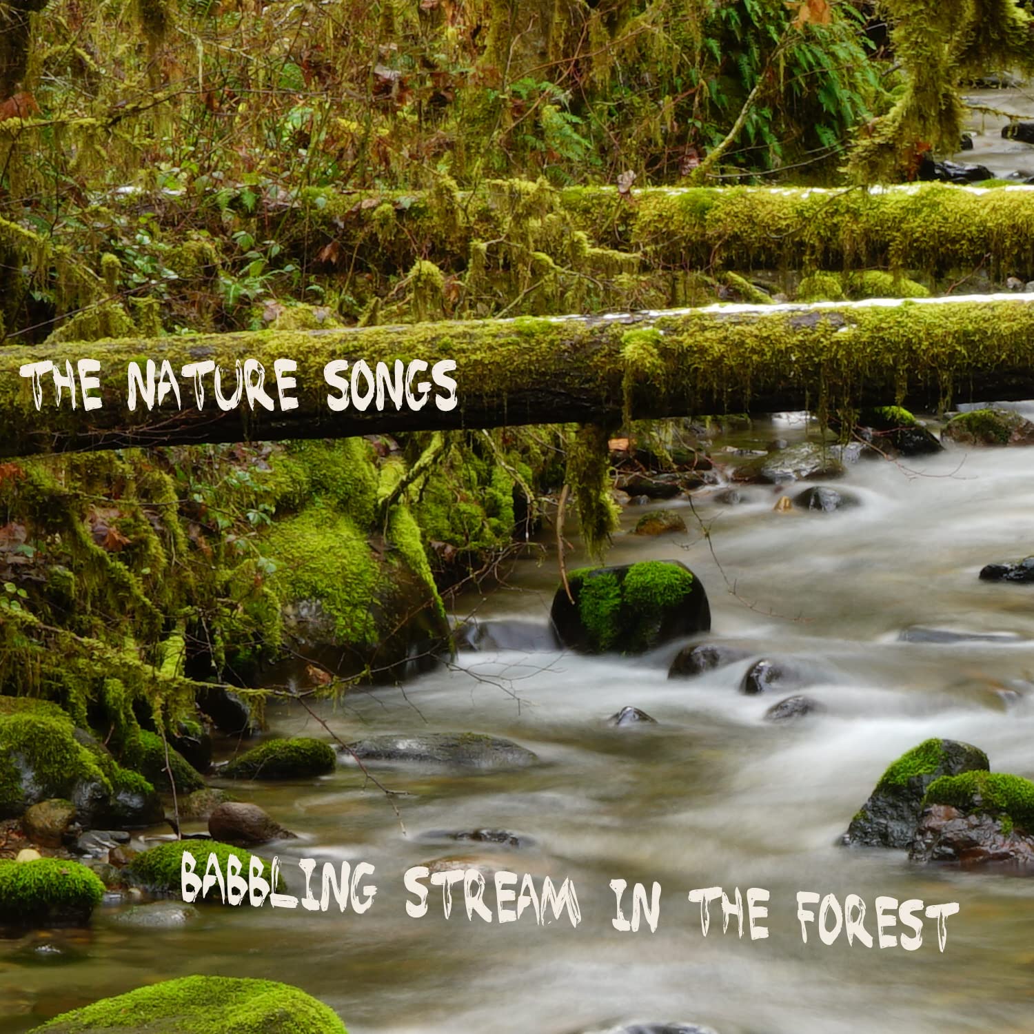 The Nature Songs