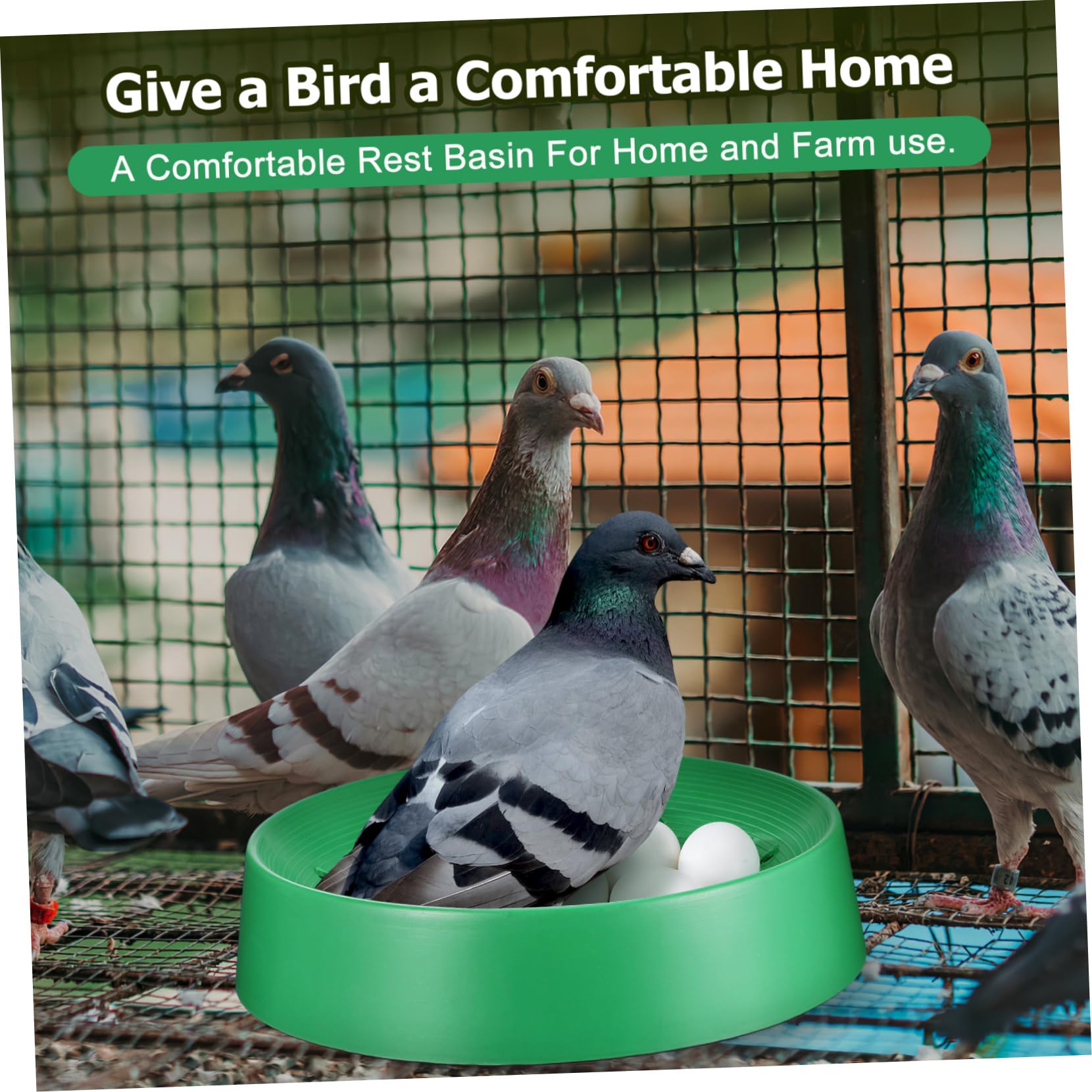 FRCOLOR 10 Piezas Virutas De Pino Birdemia Nido De Gorrión Cajas De Cría De Palomas Cajas Nido De Pollo Caja Nido para Incubar Nido De Pájaro Loro Dónde Cola Larga Gallinero