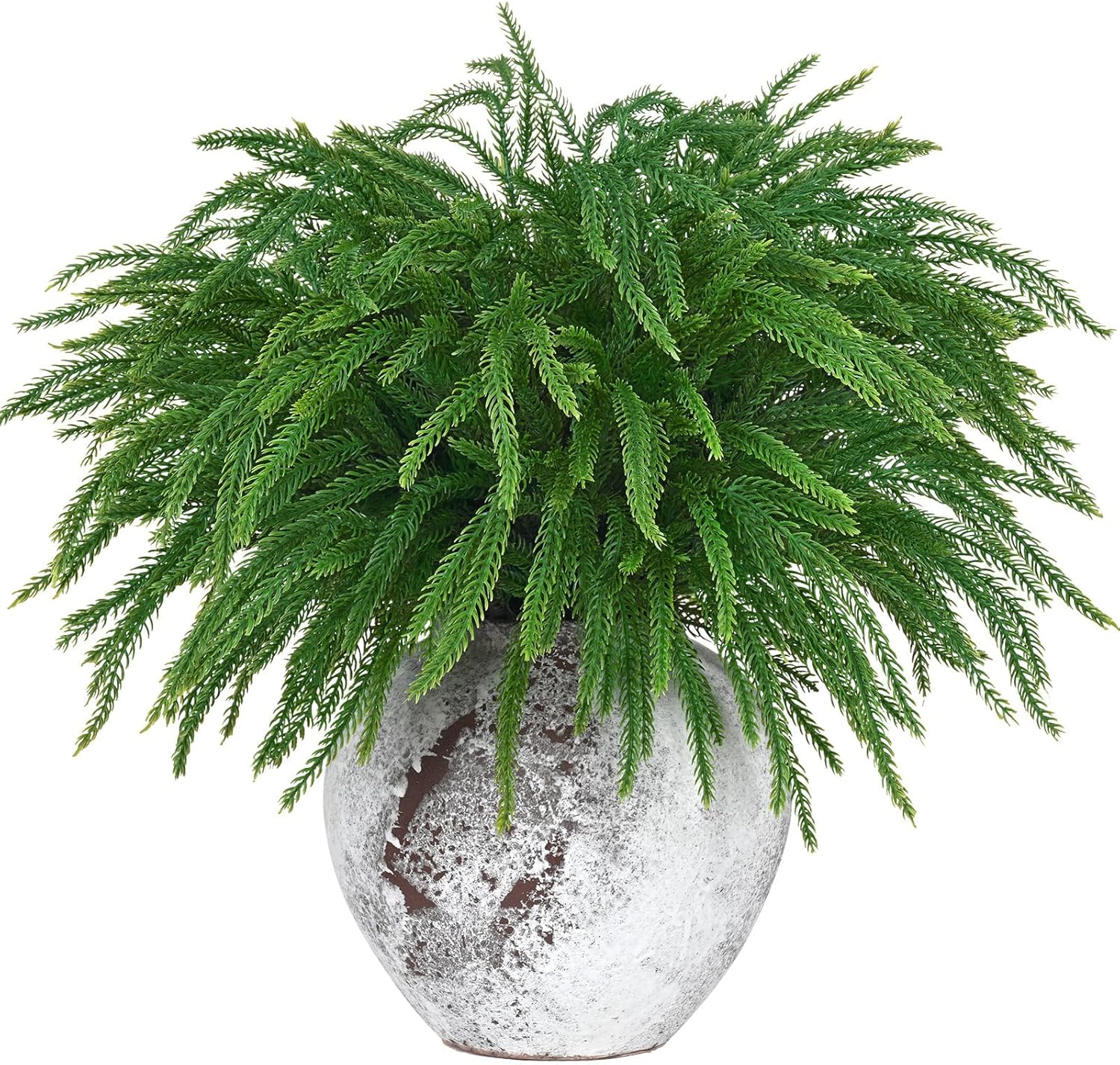 Dolicer 12 Pcs Christmas Decorations Norfolk Pine Stems, 17.7’’ Real Touch Norfolk Pine Stems, Norfolk Pine Branches Christmas Greenery Stems for Xmas DIY Craft Wreath Indoor Outdoor Home Decor Green 12 Pcs