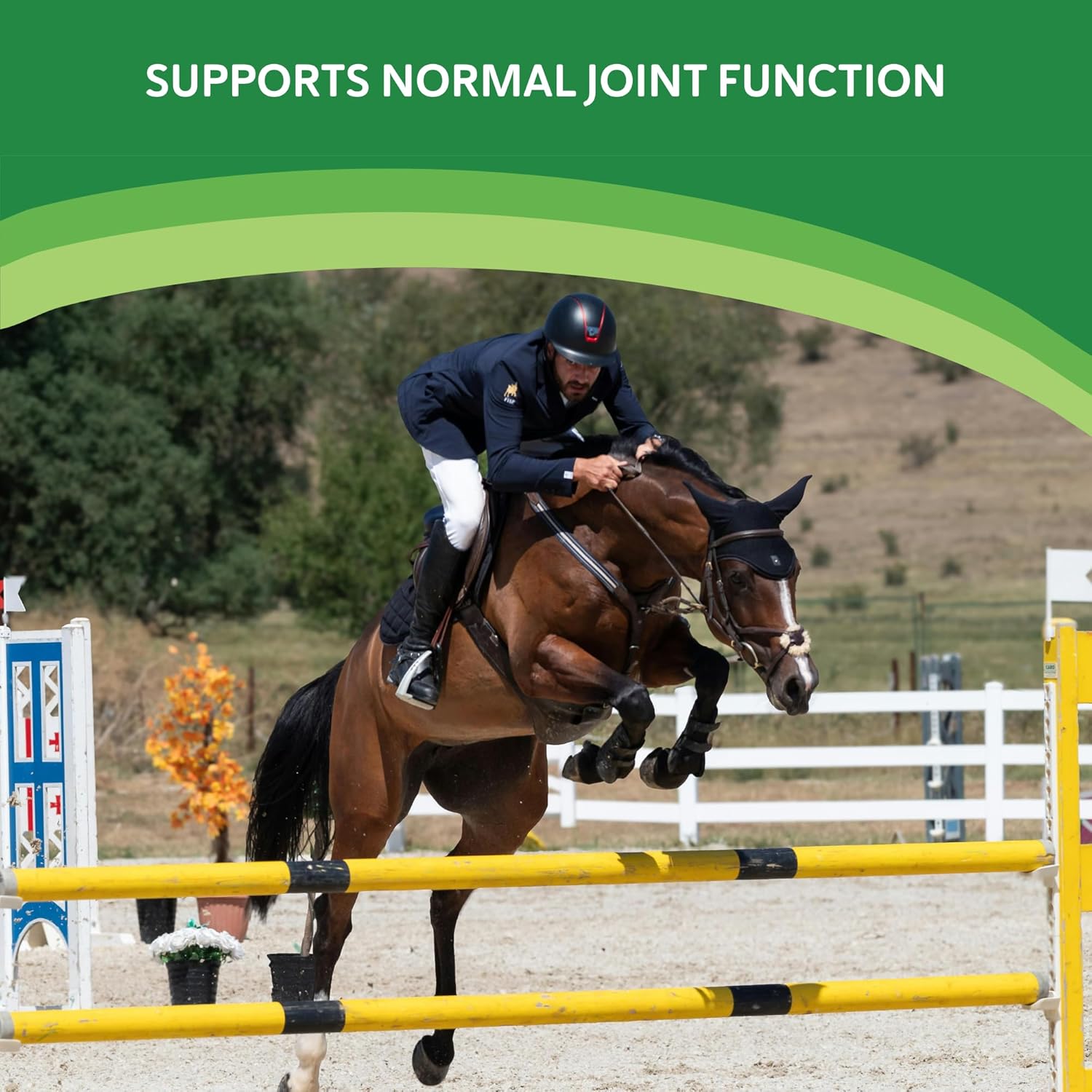 with Hemp Joint Supplement for Horses, USDA Organic Hemp Seed Oil & Powder, Herbal Joint & Mobility Support, THC & CBD Free, 60 Servings