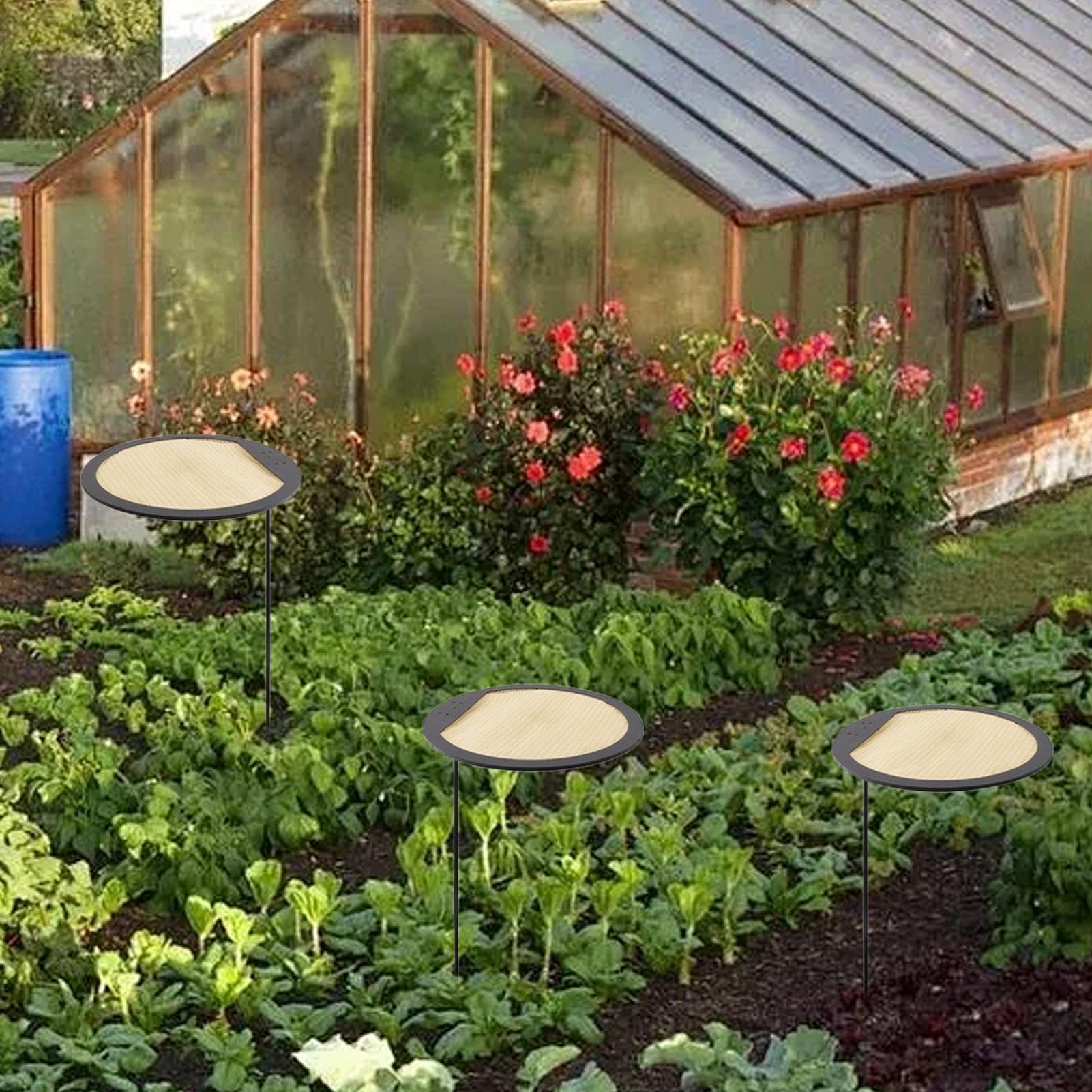 Lot de 3 parasols pour - Protection UV - Résistant aux intempéries | Protection solaire pour plantes pour l'extérieur, terrasse, arrière-cour, cour, balcons et parterres de jardin