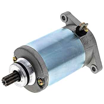 Amazon.com: NICHE Starter Motor Assembly for SYM Trackrunner