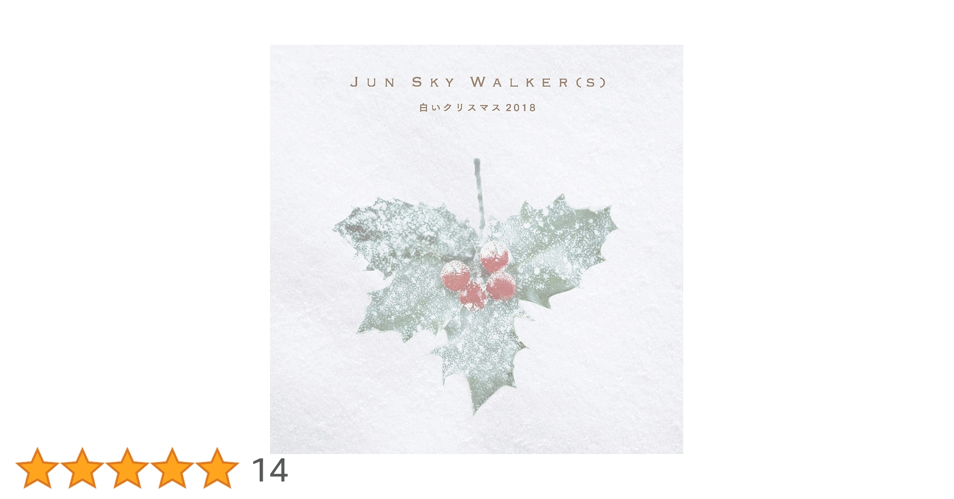 JUN SKY WALKER(S)アルバム14枚シングル白いクリスマス合計15枚 81ySnYqc3jL.jpg_BO30,255,255,