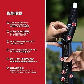 Amazon.co.jp: Akai Professional EWI Solo ウインドシンセサイザー