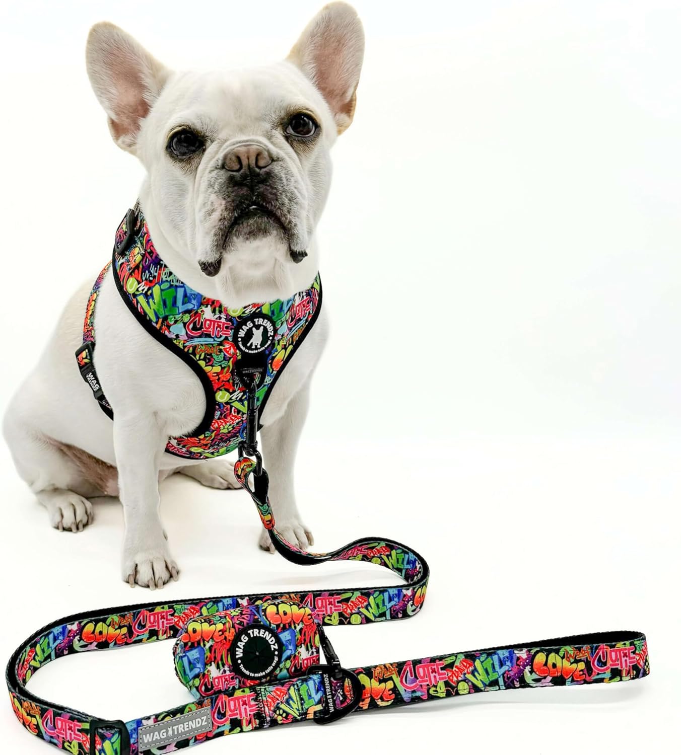 WAG TRENDZ Leash for Medium Dogs | Dog Lead | Safer Alternative to Retractable Dog Leash | Adjustable Length | Great for Training | Padded Handle | Street Graffiti | M