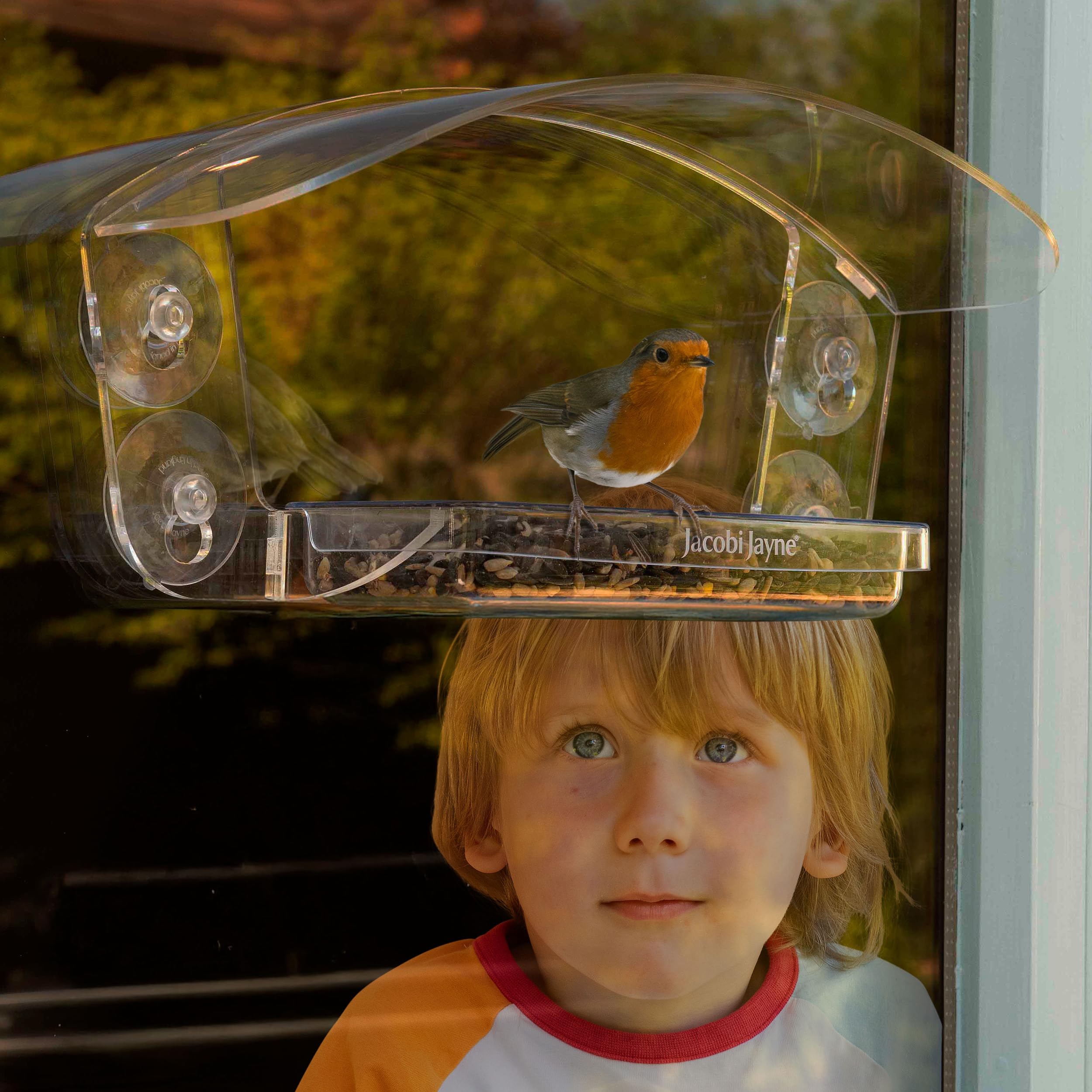 Jacobi Jayne® Sky Deck™ - Comedero para pájaros de Ventana Transparente con ventosas Fuertes - Comedero para pájaros para Ventana - Mira cómo los pájaros se acercan con Este comedero acrílico para
