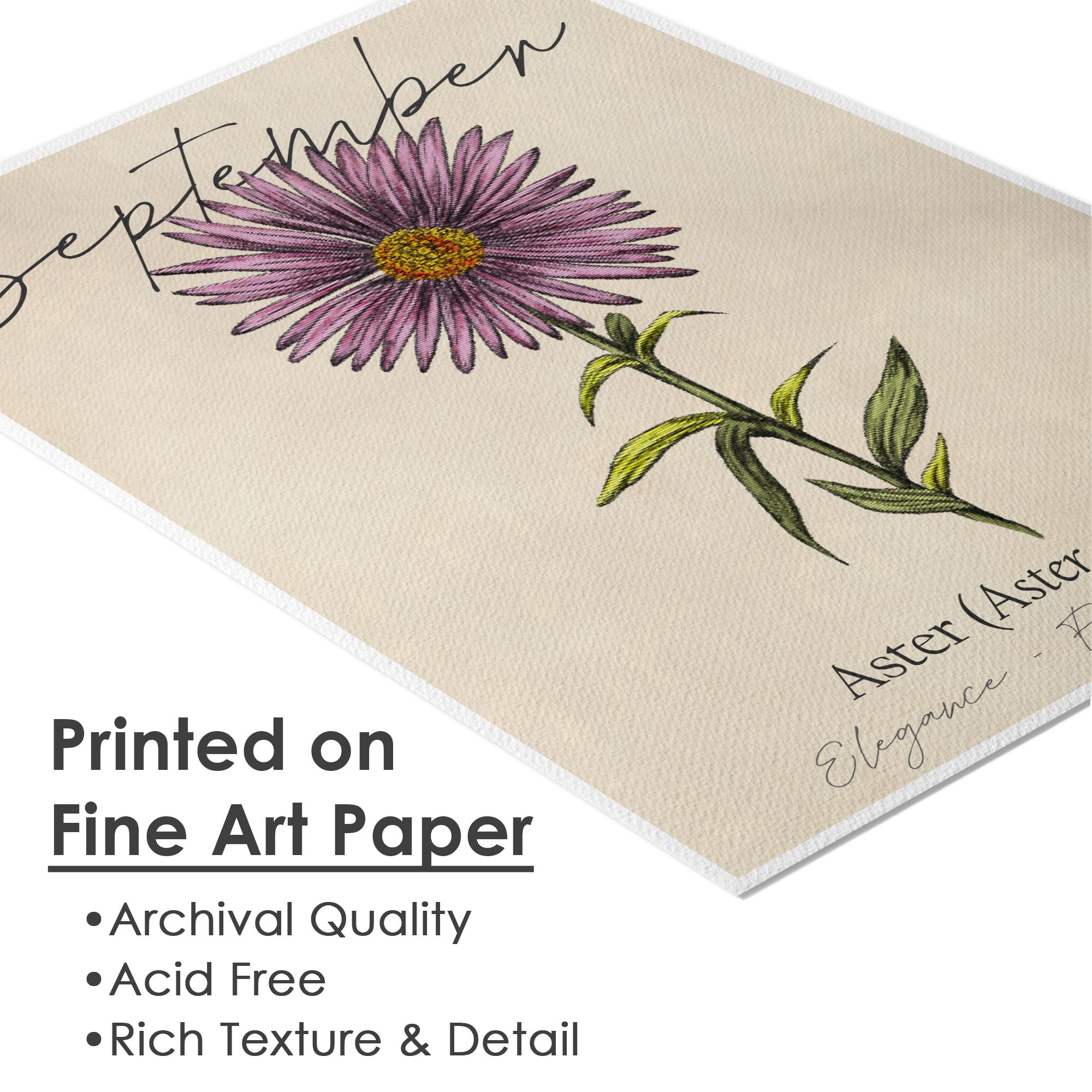 Amazon.com: September Birth Flower Art Print - 8x10 (Unframed