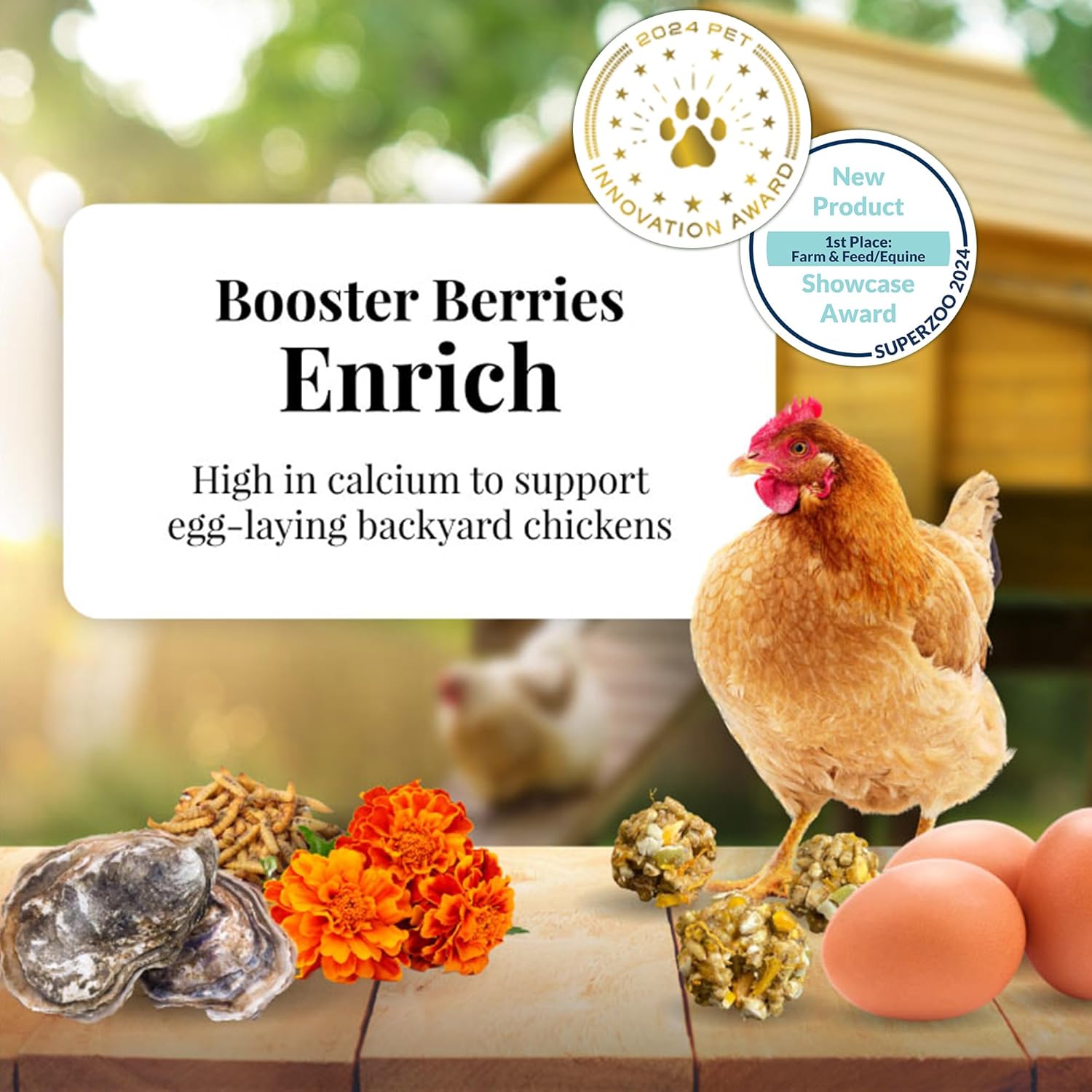 LAFEBER'S Booster Berries Enrich Chicken Supplement, for Chickens (10oz Pack of 2)