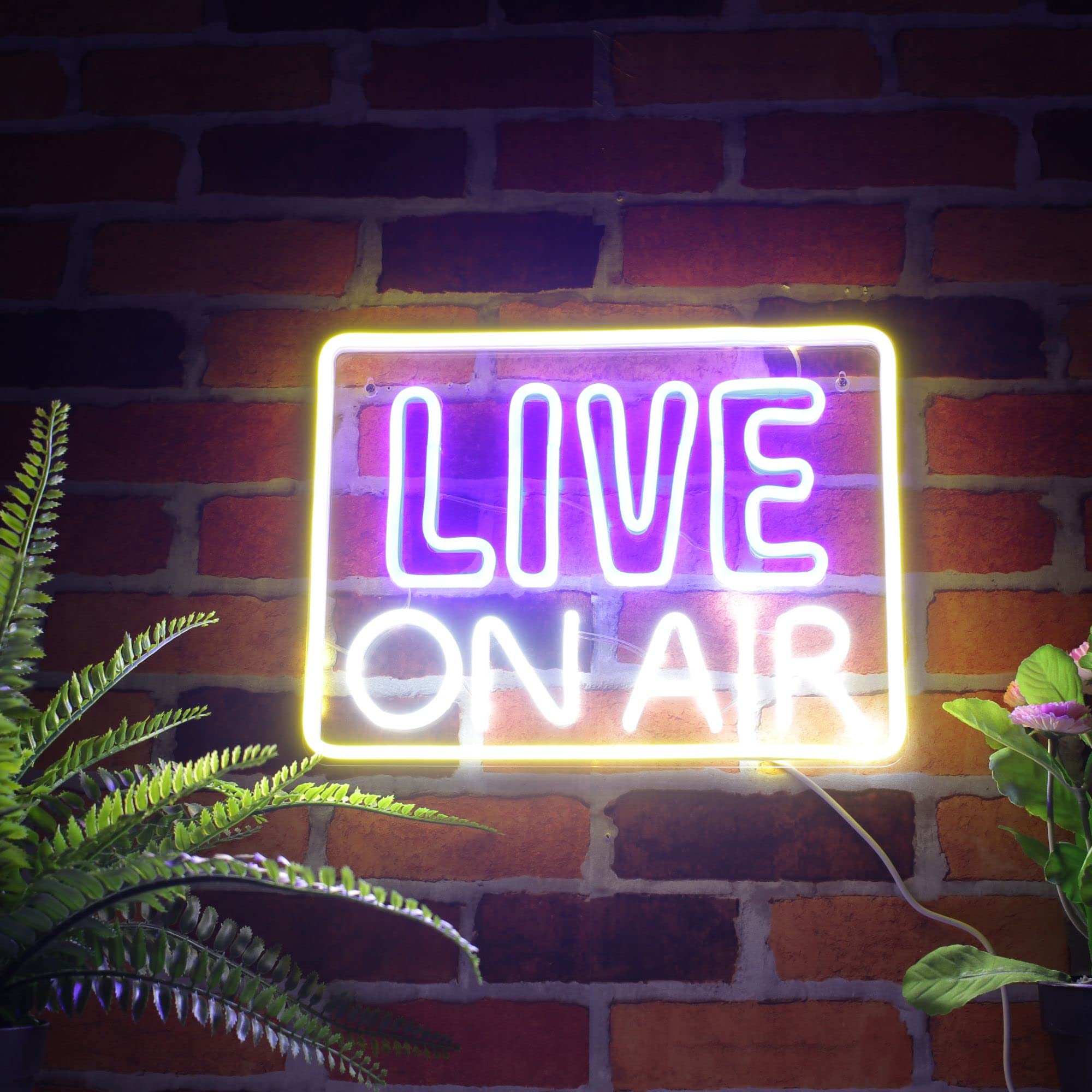 ADVPRO Brain Flex St16s33-fnu0063-r Panneau Néon LED En Silicone Rouge