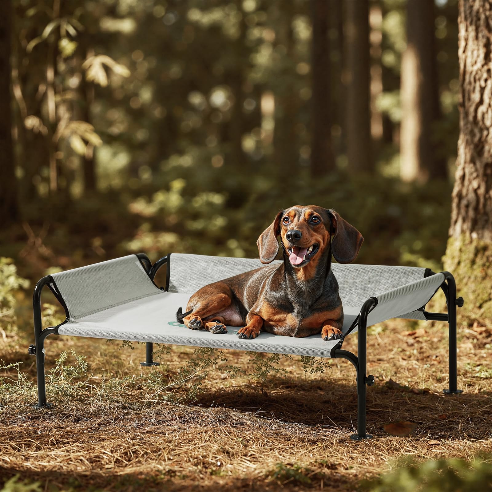 Gardner Pet Letto Rialzato per Cani Taglia Grande e Media, Brandina Traspirante da Esterno e Interno, Cuccia Estiva Resistente ai Graffi per Cani, Struttura in Metallo Robusta-(Grigio, S)