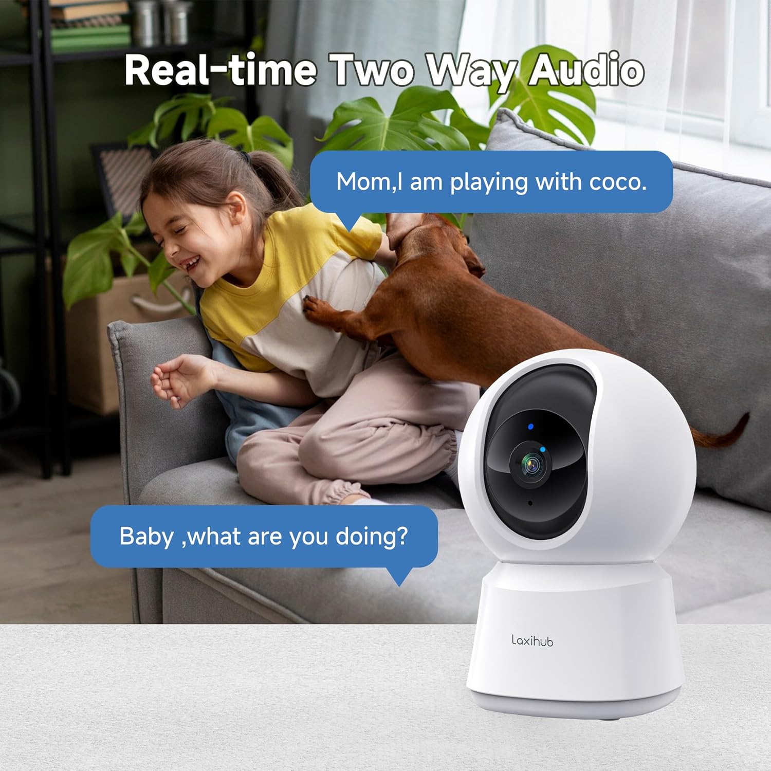 LAXIHUB P2 camera tracking multiple cats in a living room, illustrating its smart motion tracking feature.