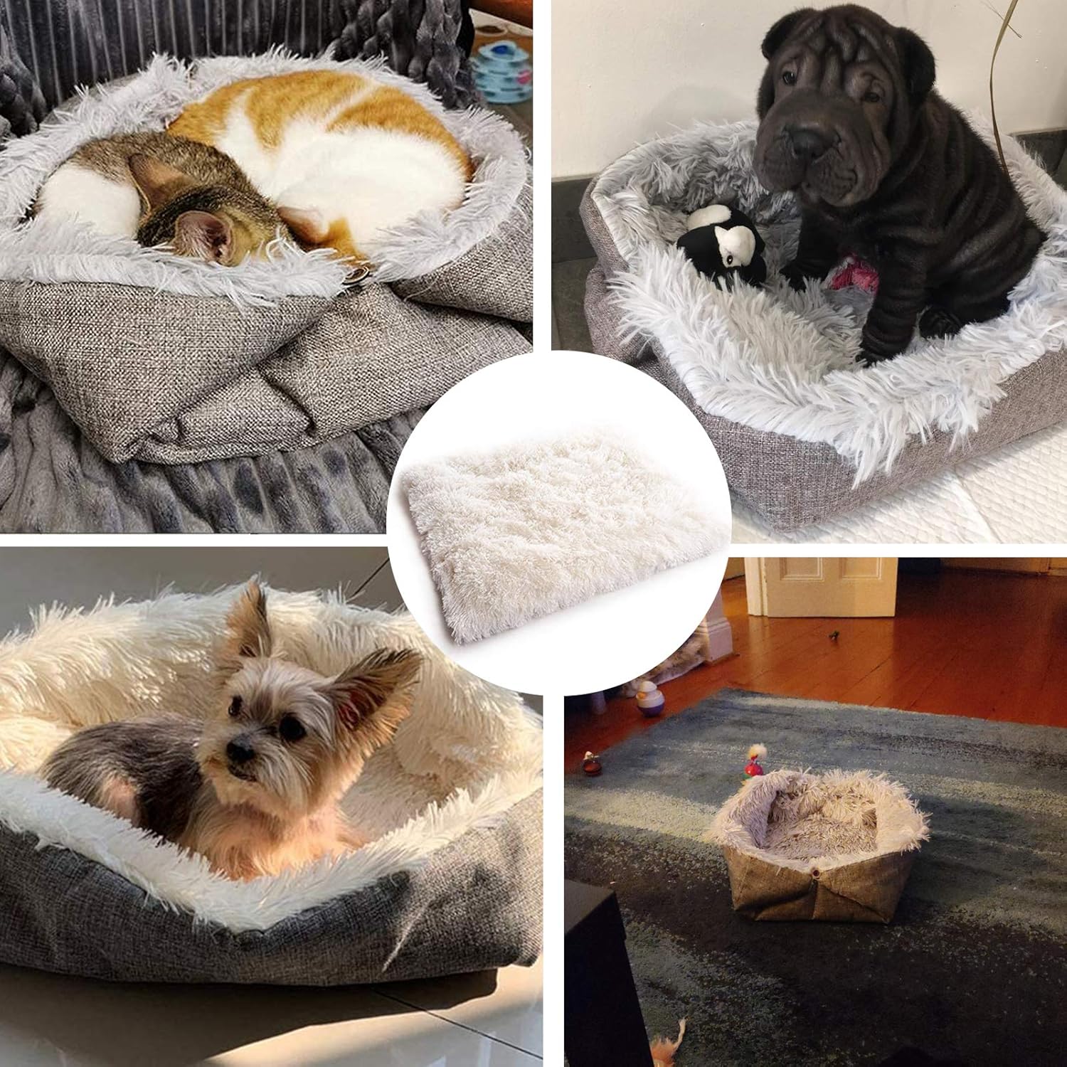 TVMALL Cat Bed Mats Dual-Purpose Pet Bed Cushion for Small Dogs Self Warming Indoor Pillow Cuddler Amazing Cat Bed and Puppy Sofa Cushion Soft and Comfortable Improve Sleeping - Extra Bonus pet Gift : Pet Supplies