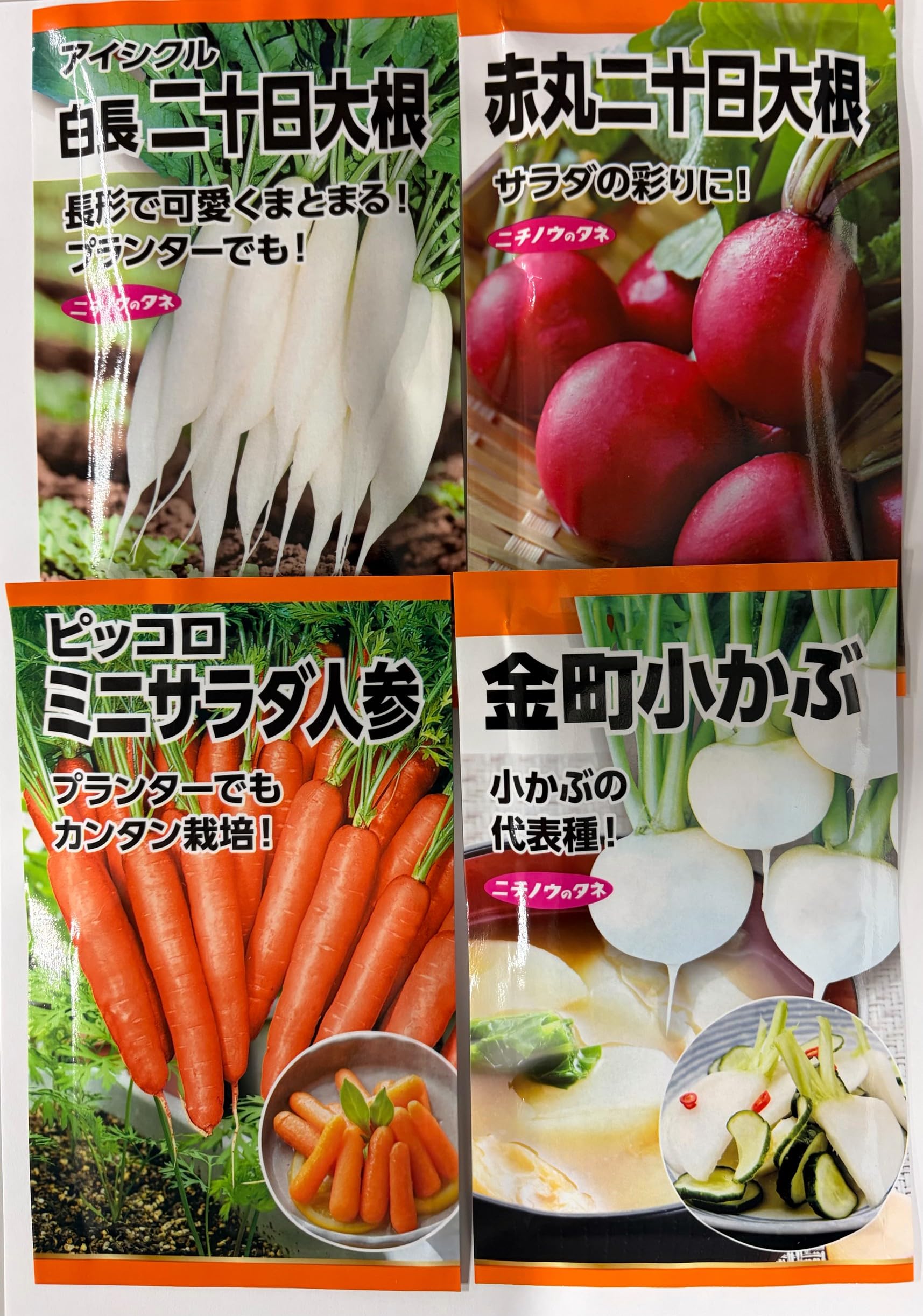 Amazon | 日本農産種苗 種(野菜) ミニ野菜セット 901095 小さな