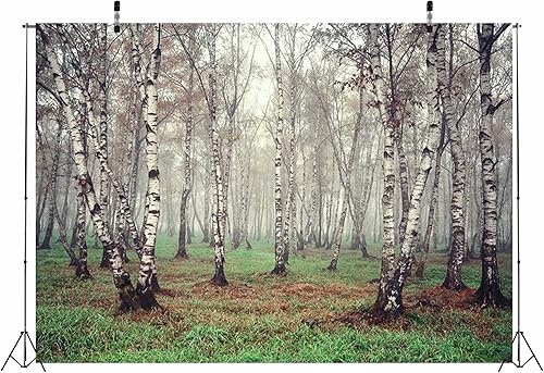 Miniatura 2 de CORFOTO Telón de fondo de tela de 7 x 5 pies, bosque natural, fotografía, árbol de abedul, jungla verde hierba, fondo de paisaje de verano para