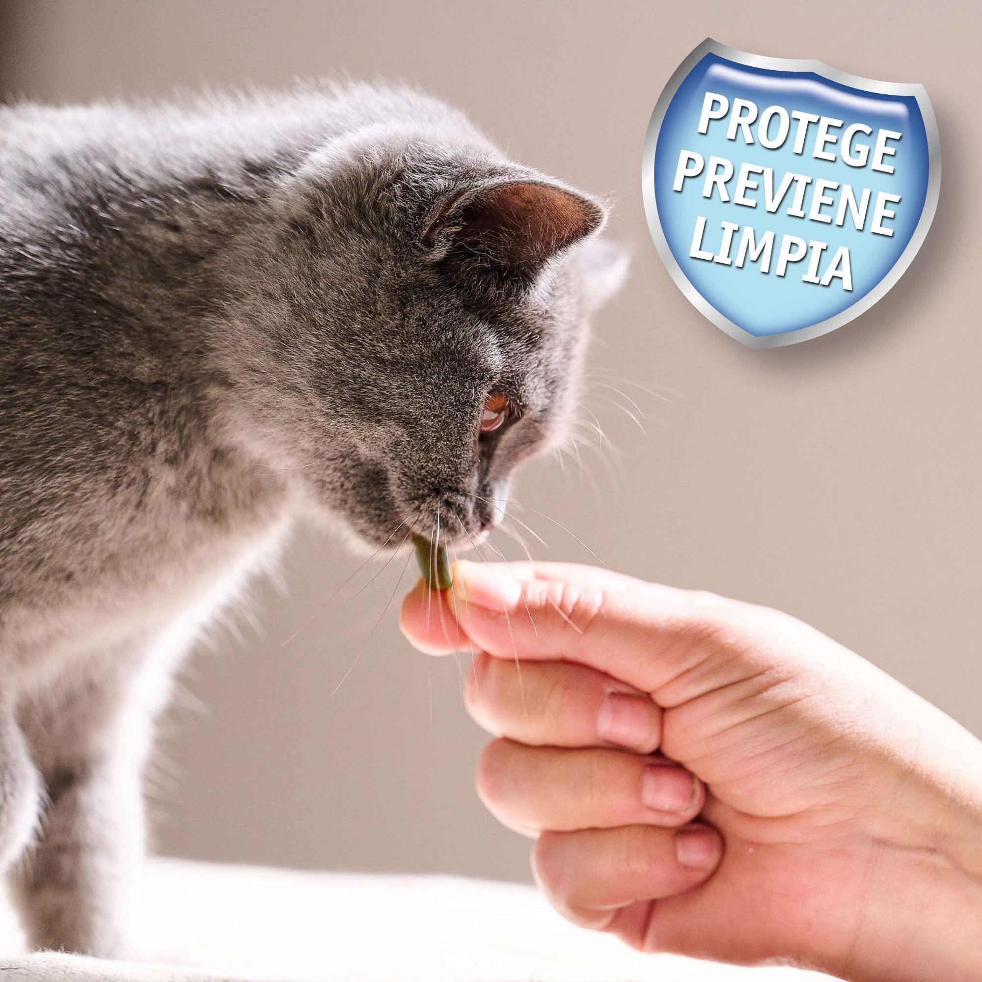 Beaphar - Snacks Dentales para Gato, Anti Placa y Anticarro, Clorofila Natural, 35 g