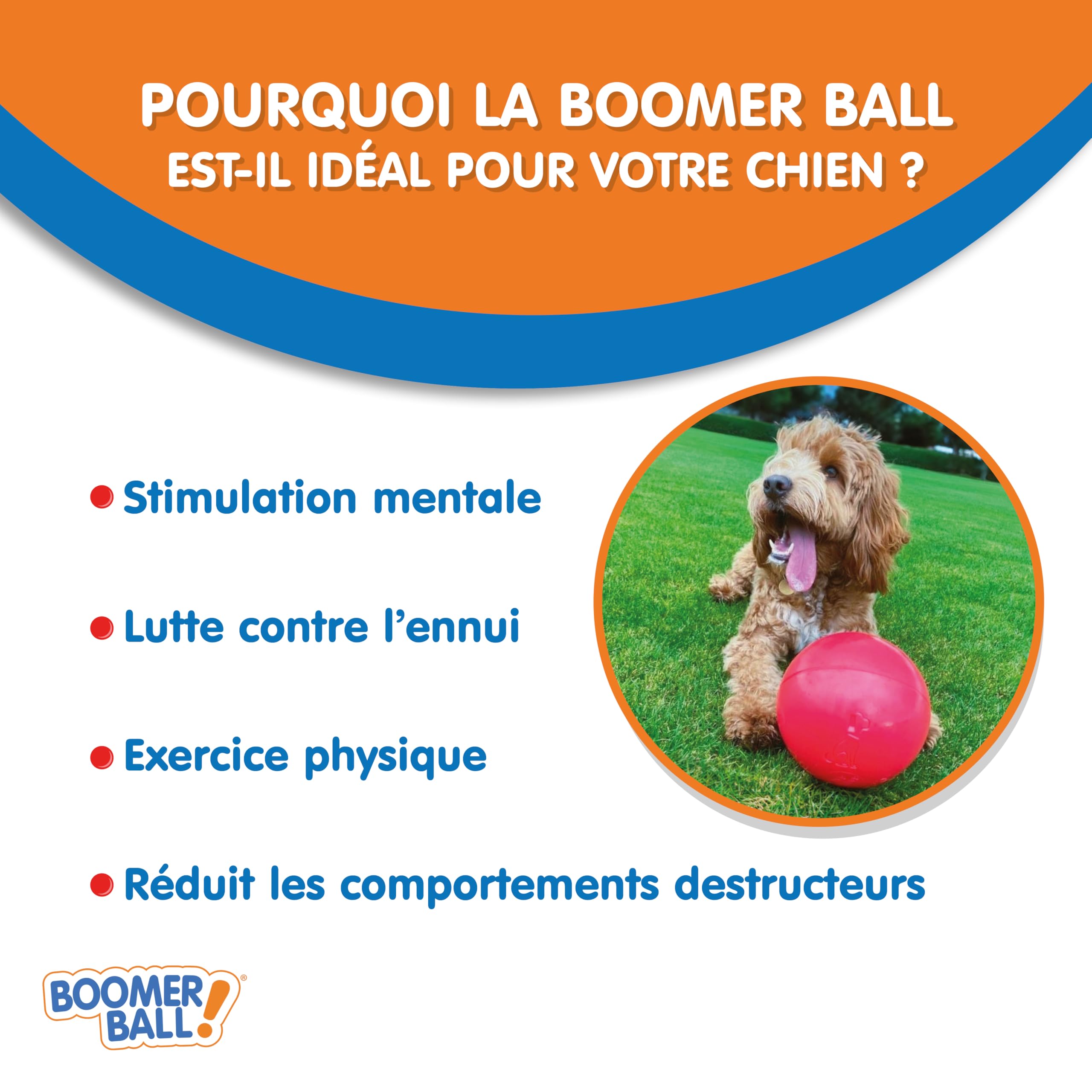BOOMER BALLE - Balle pour Chien Quasiment Indestructible, Jouet Résistant pour Chien, La Balle Flotte Sur L'eau et est Idéale pour Les Chiens Énergiques, 20cm, Envoyé en Rouge ou en Bleu