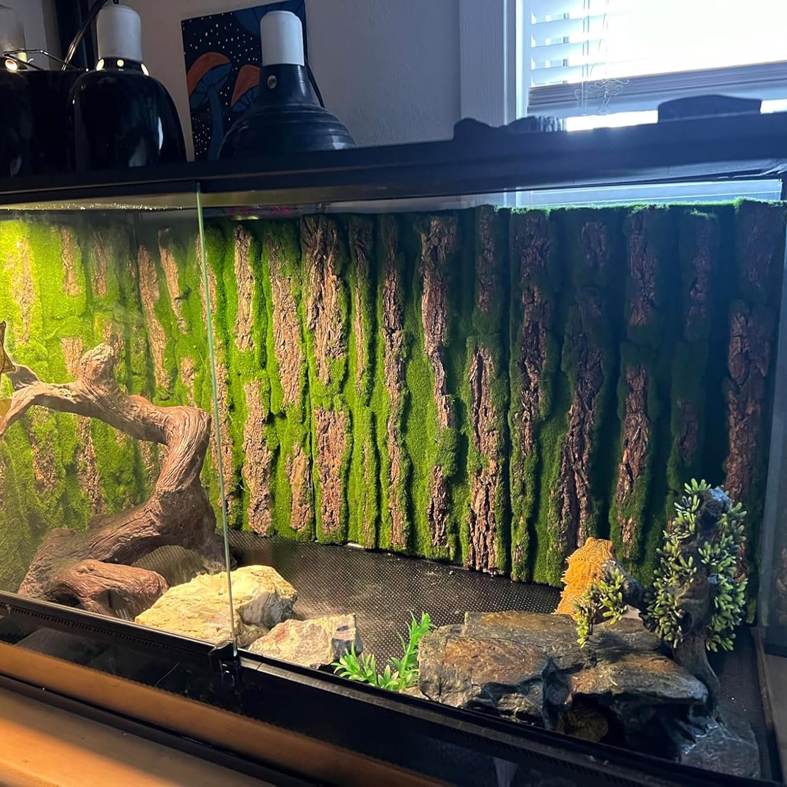 PINVNBY Terrario de reptiles, fondo de corcho, telón de fondo de corteza de dragón barbudo, decoración de pared con musgo artificial para gecko, lagarto, tortuga, rana, camaleón (paquete de 4)