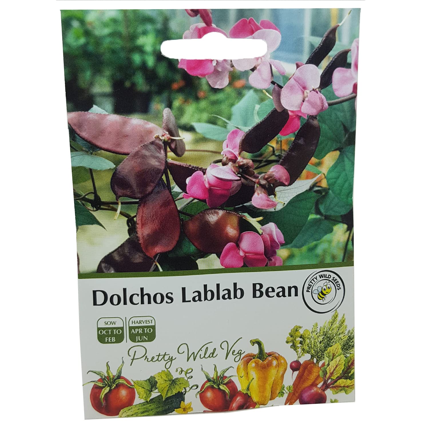Cucumber Cucamelon Seeds in Pictorial Packet from a UK Seller Cute Fruits with Unique Crunch & Flavour — view 105