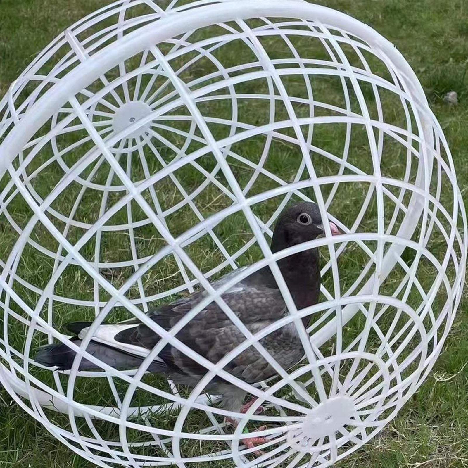 3 Pieces Ball-Shaped Movable Chicken Coop Chicken Balls Cage Farm Outdoor Rolling Bunny Duck Hutch Safe Walking Net Preventing Dog Bites Trampled by Horse — view 9