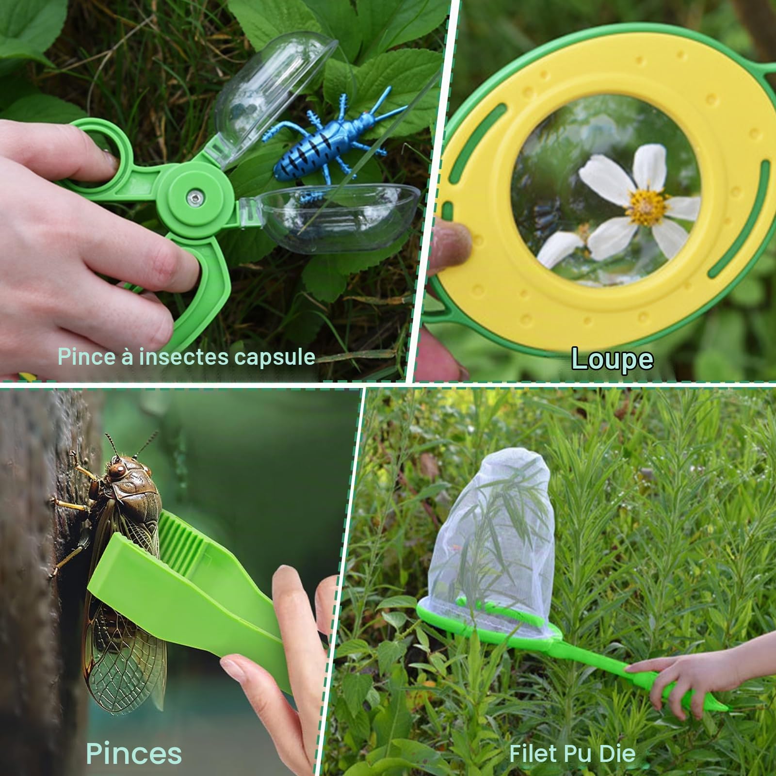 Boîte d'observation des insectes portable pour l'aventure en plein air, cage à p