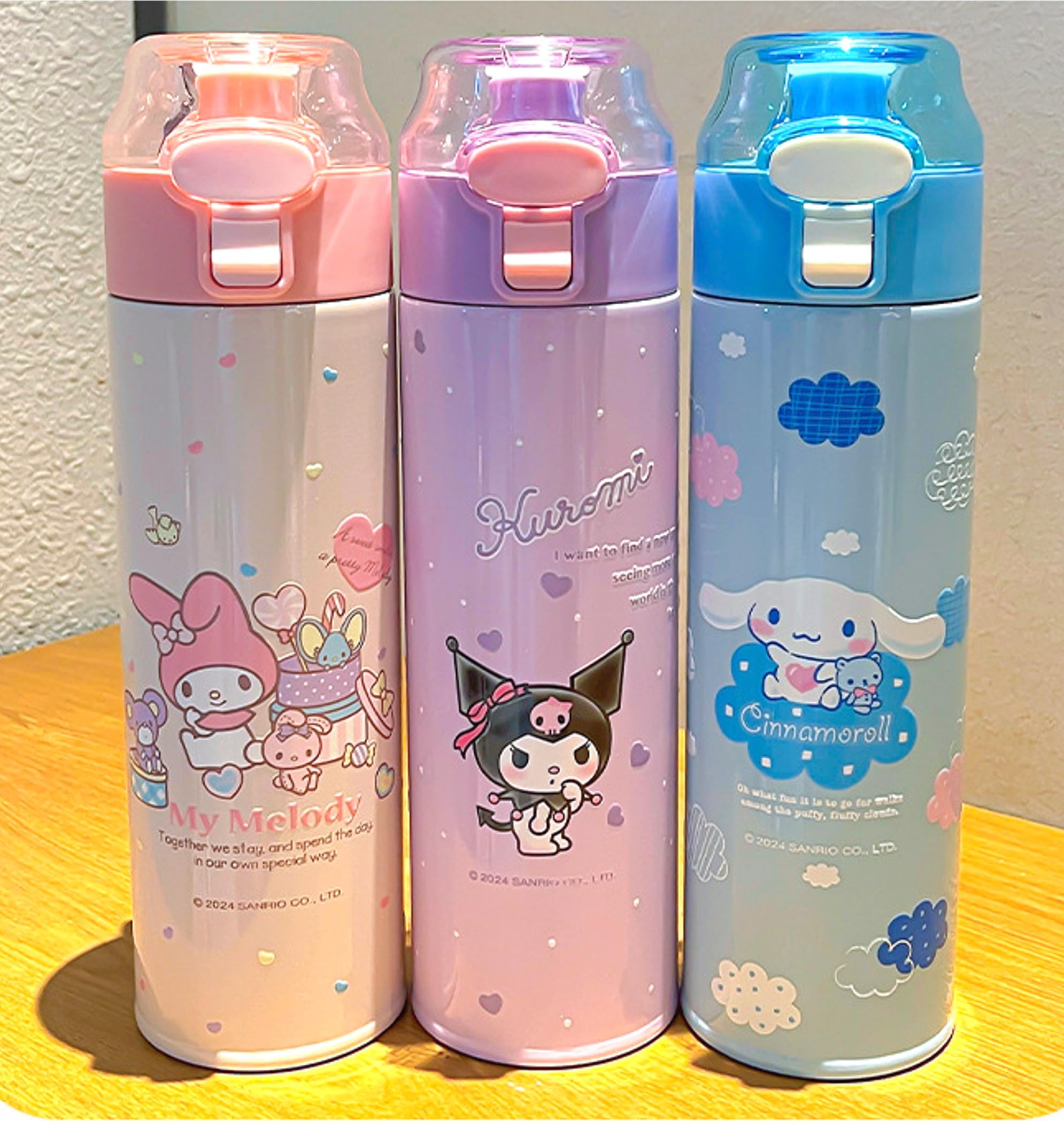 Amazon.com: Melody Stainless Steel Insulated Water Bottle 480ml