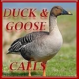 Duck and goose hunting calls