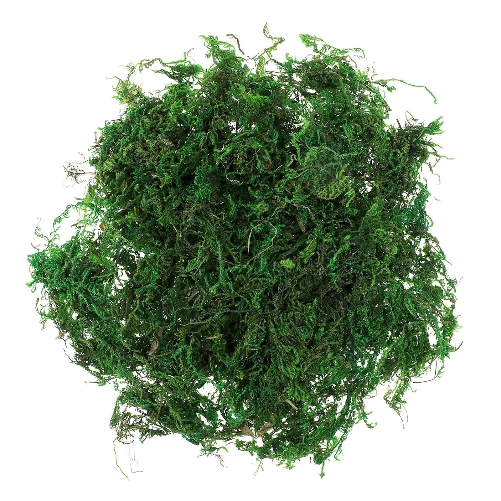 HZLXF1 20g Artificial Preserved Moss Natural Fake For Plants Potted Plants Terrarium DIY Gardening Decorative Bonsai Indoor Outdoor