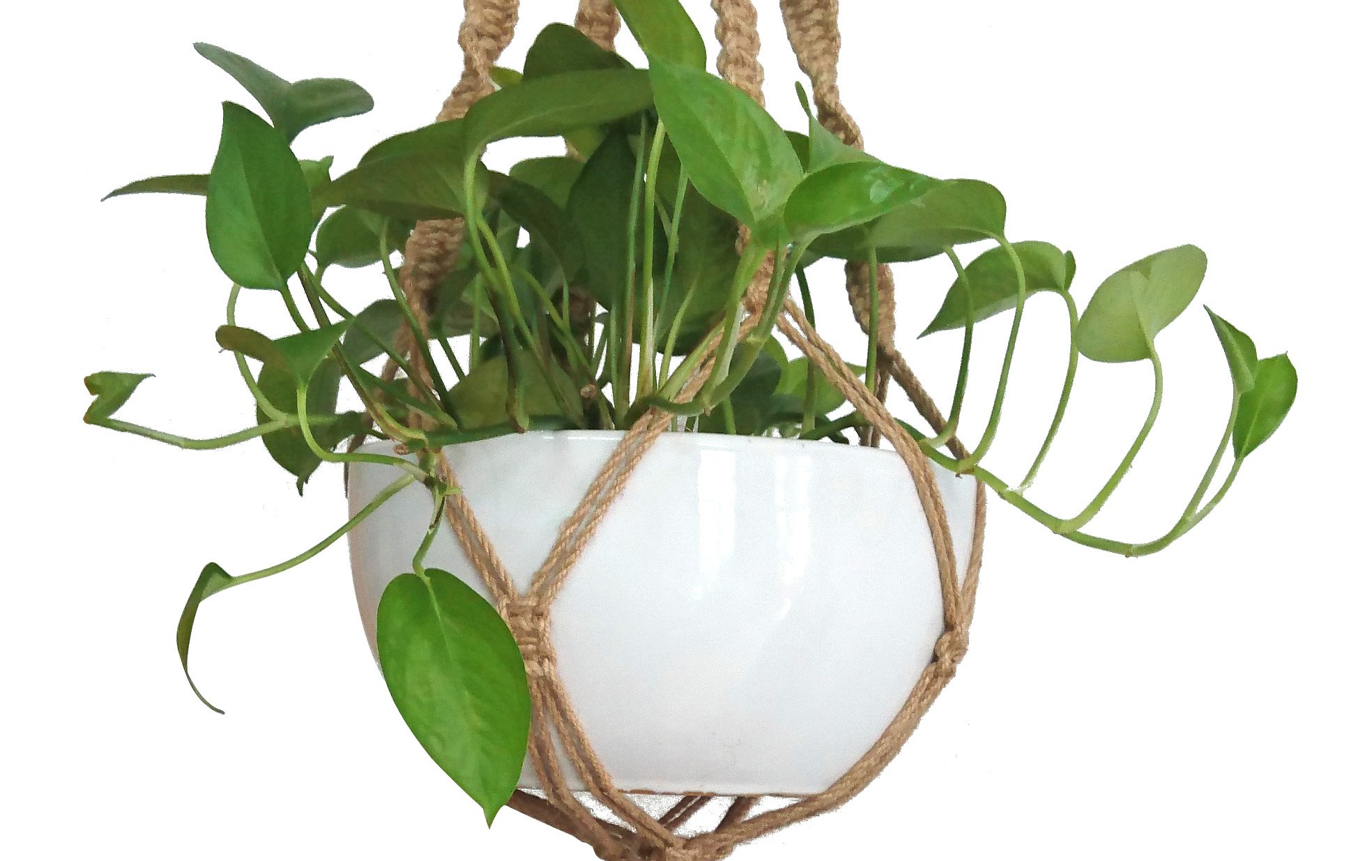 Amazon.co.jp: マクラメ プラントハンガー&ホルダー ハンギング