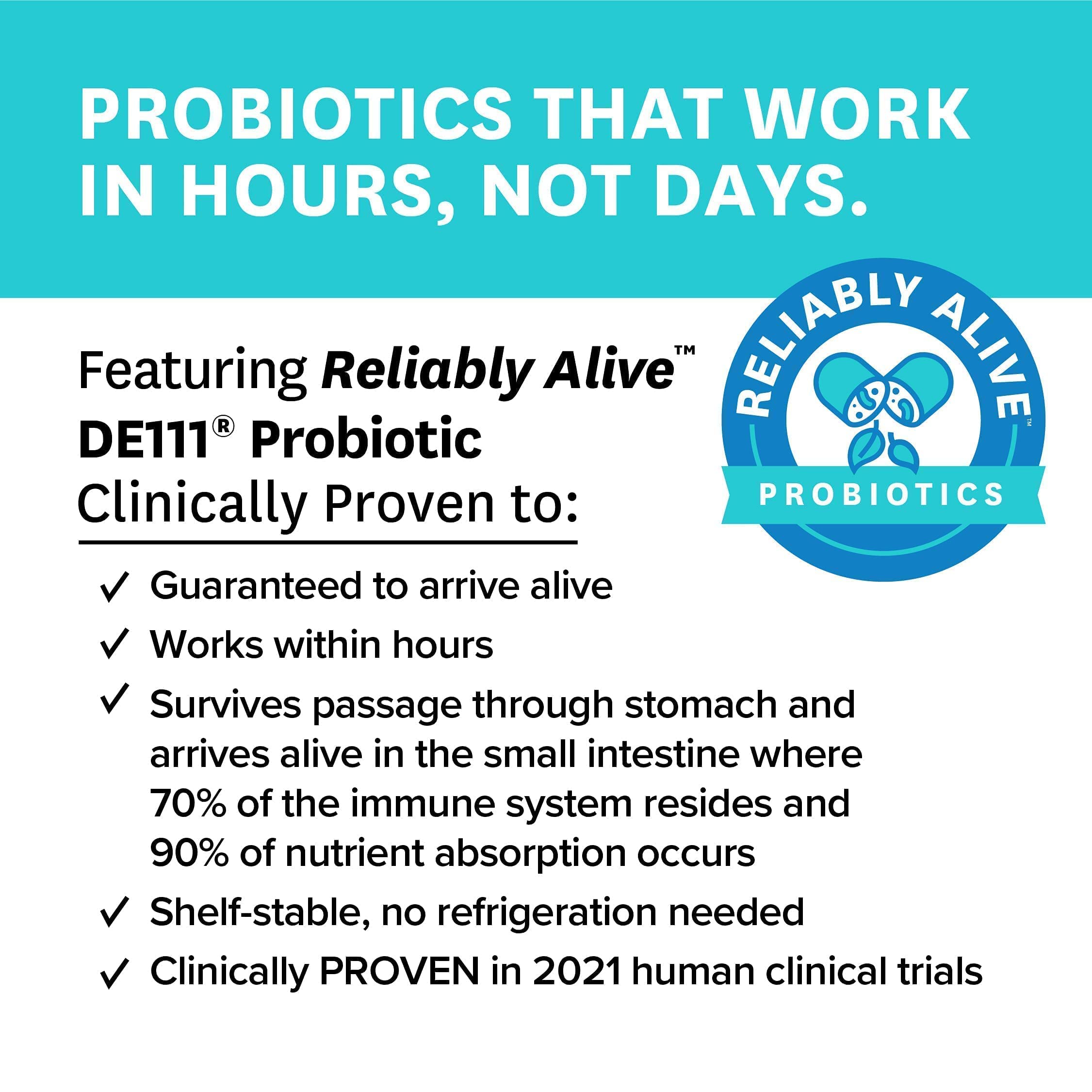 Zenwise Digestive Enzymes Probiotics and Prebiotics Digestion and