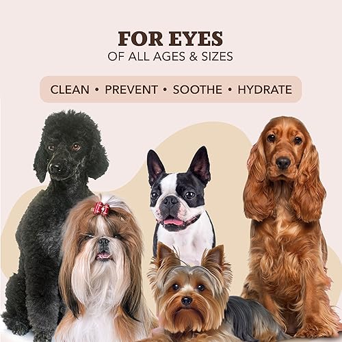 Miniatura 8 de Natural Dog Company Toallitas calmantes para la piel, 50 unidades, alivio de alergias en la piel, toallitas para mascotas para perros, fórmula
