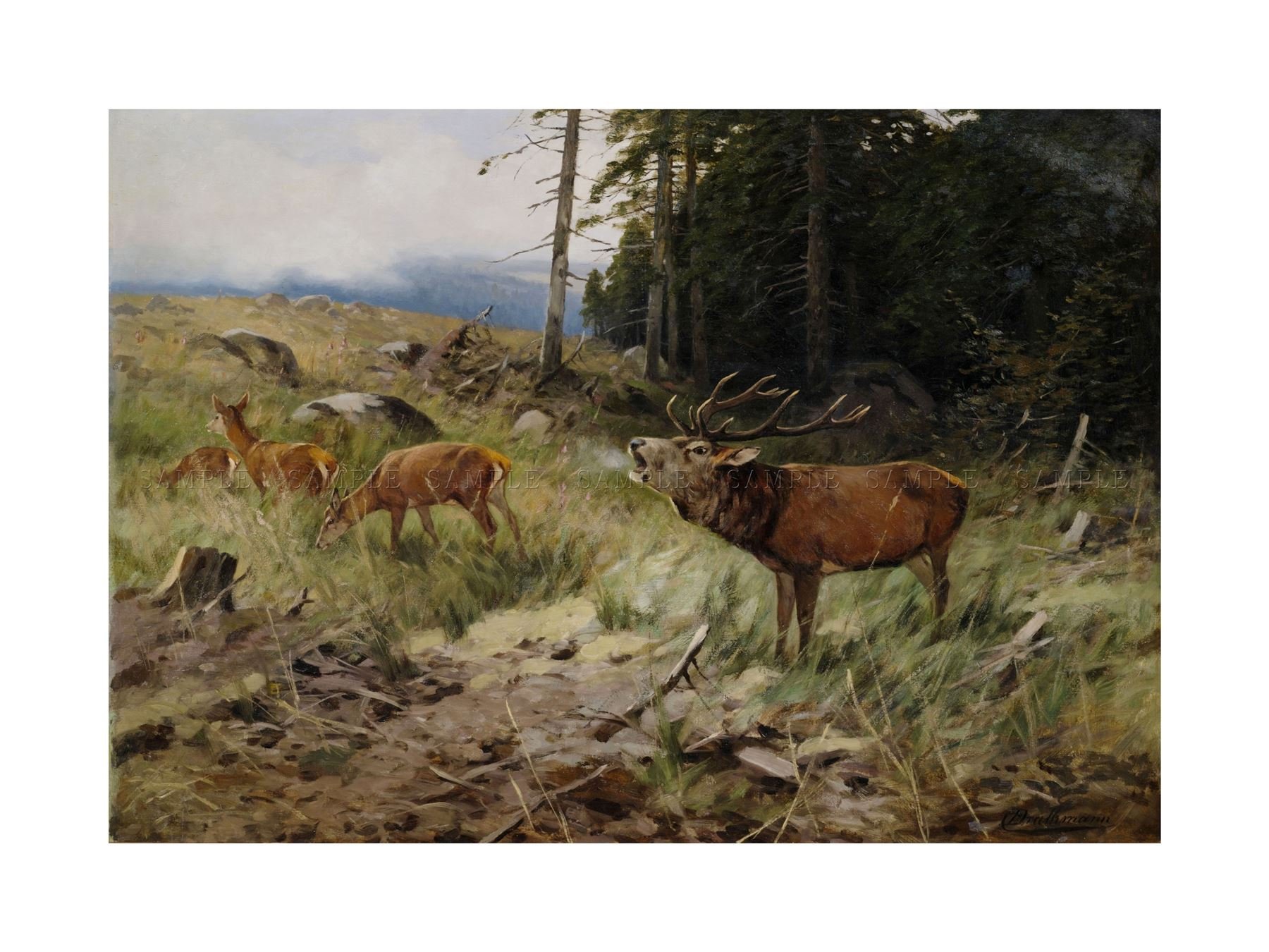 Wee Blue Coo Painting Animals Drathmann Stag Deer Near Forest Wall Art Print