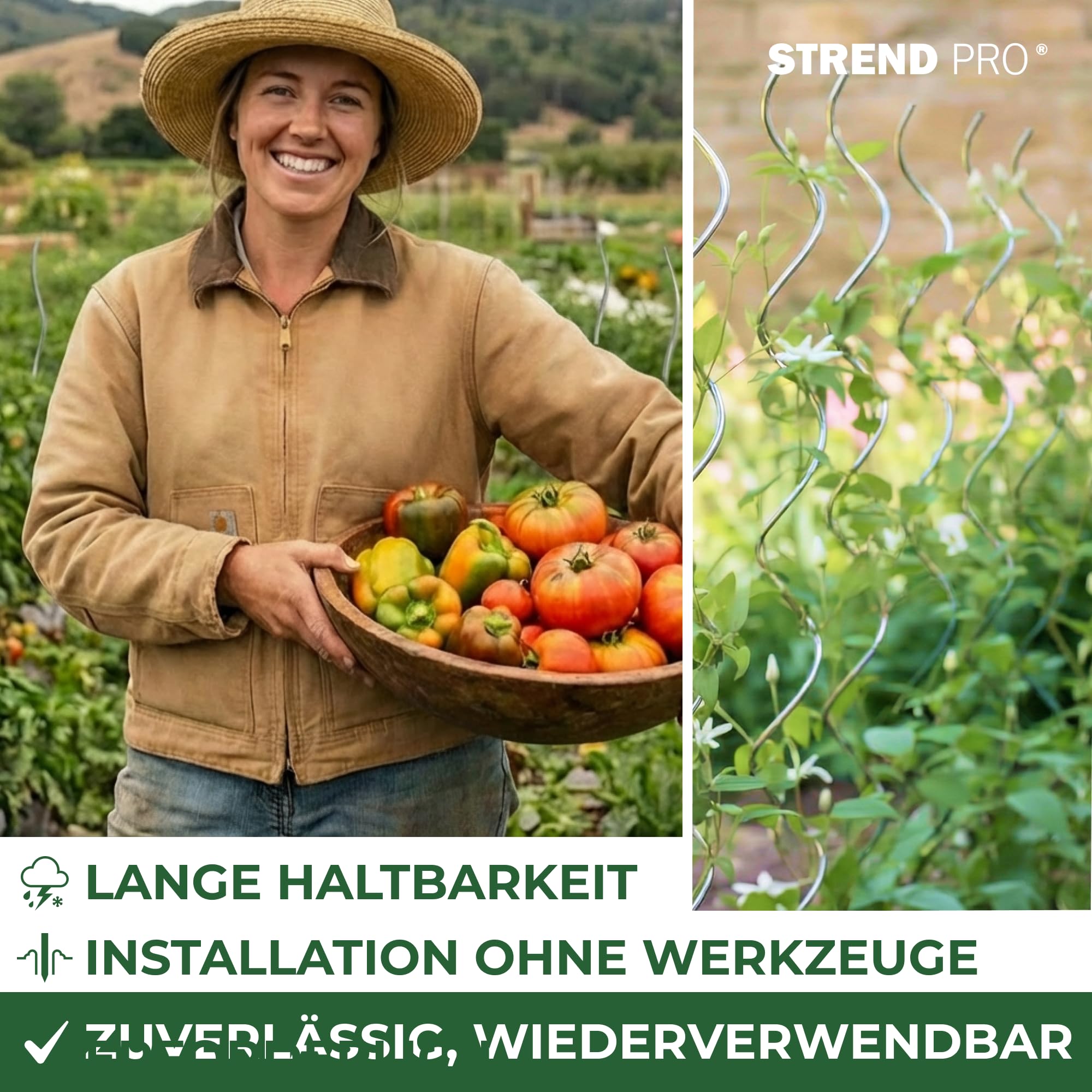 STREND PRO Tomatenstäbe 150 cm - 25 STK. | Spiralstab Ø 6 mm Verzinkter Stahl | Pflanzstab, Tomatenstütze, Rankhilfe, Stangen für Tomaten | Rankstab Metall | Spiral Bohnenstange Pflanzenstütze groß