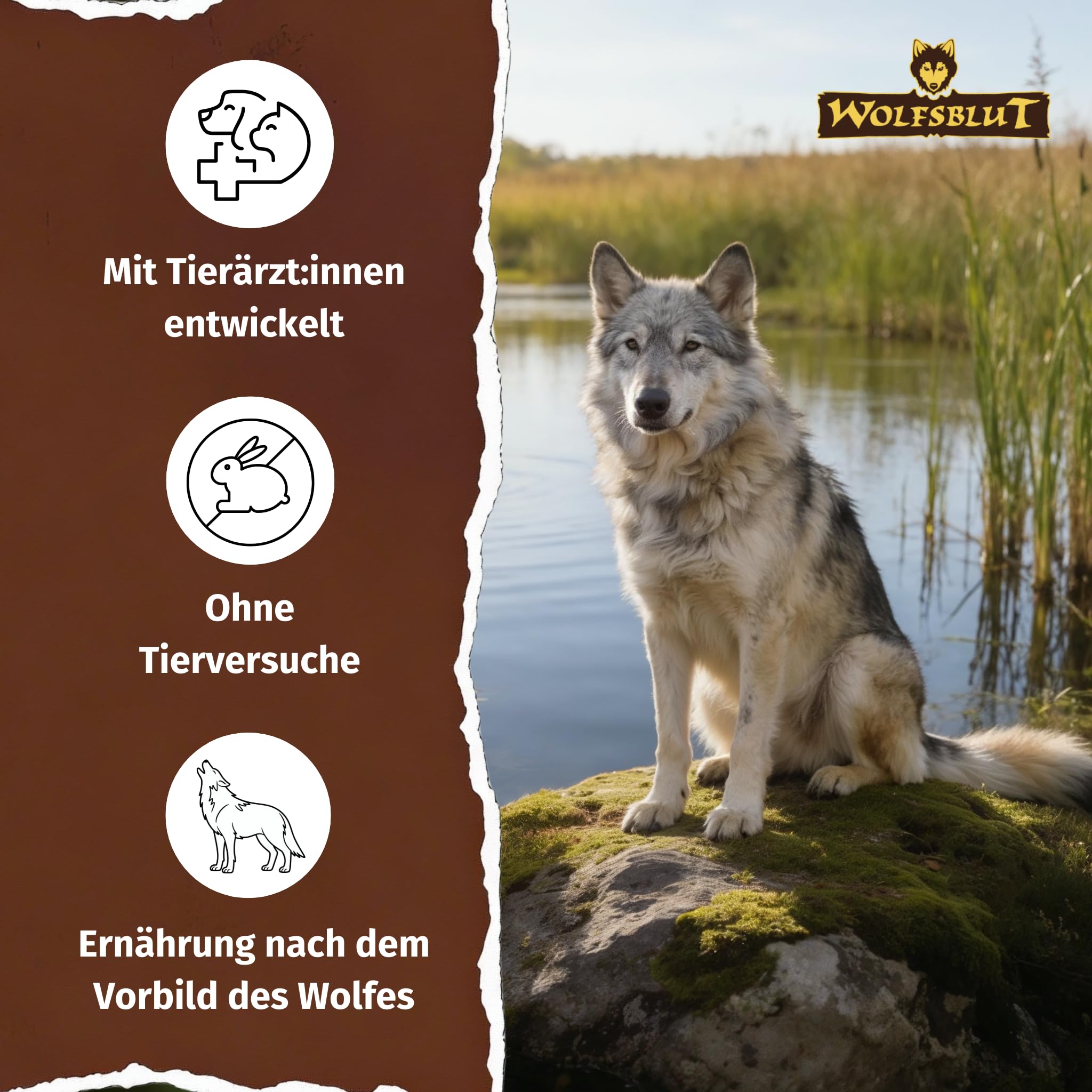 Wolfsblut Wild Duck Senior 12,5 kg
