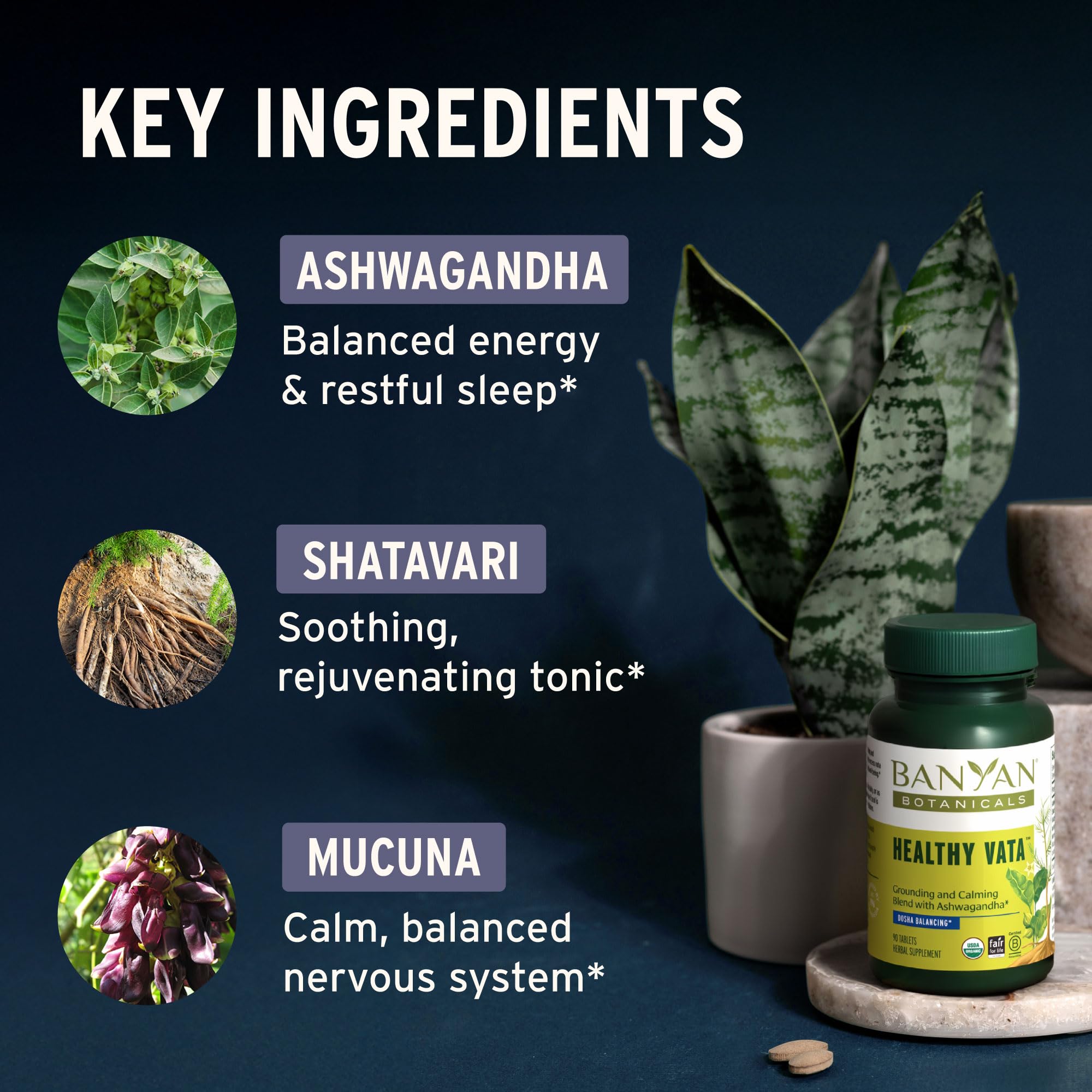 Banyan Botanicals Organic Healthy Vata –Grounding & Stability Supplement–with Ashwagandha, Shatavari & Mucuna–Natural Support for Restful Sleep, Dryness & Scattered Thoughts-90 Tablets-USDA Organic — Amazon image 2