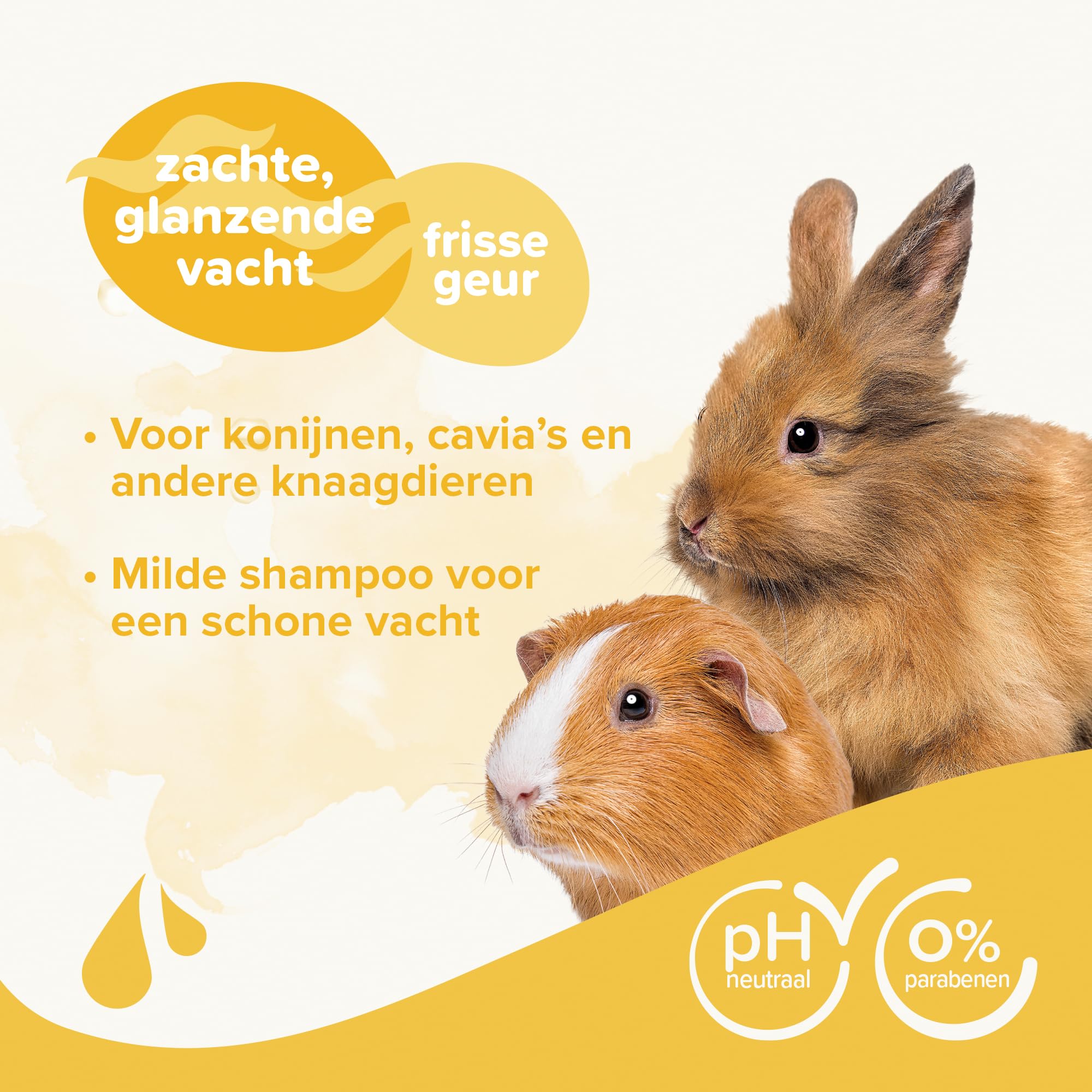 BEAPHAR – Shampooing Essentiel pour Lapin, Cochon d'Inde et Petits Rongeurs – Extra-Doux – Contient Camomille et Aloe Vera – sans parabène ni Silicone – pH Neutre – Produit Vegan – 250 ML